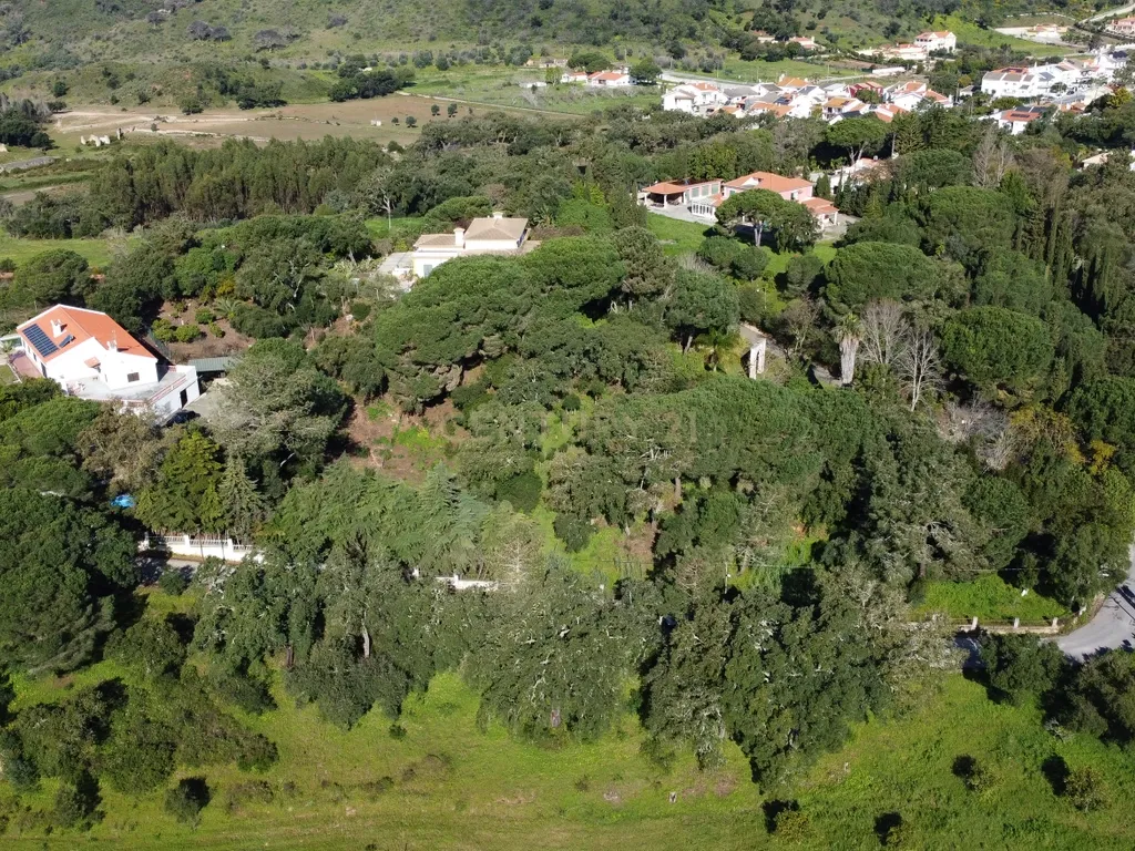 🏡 Terreno para Construção – 2.746 m² | Oportunidade Única Perto de Setúbal! 🌿 - Image 31