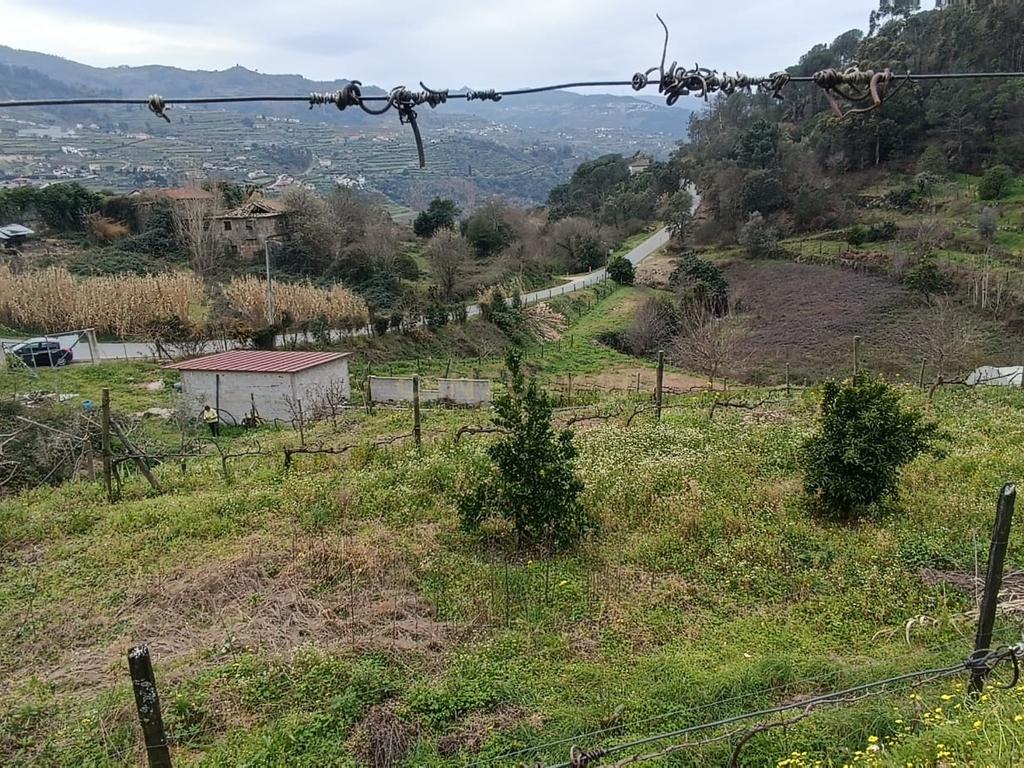 Casa com terreno de construção e agrícola perto do rio Douro em Granja, S. Tomé de Covelas, Baião, Porto - Image 31