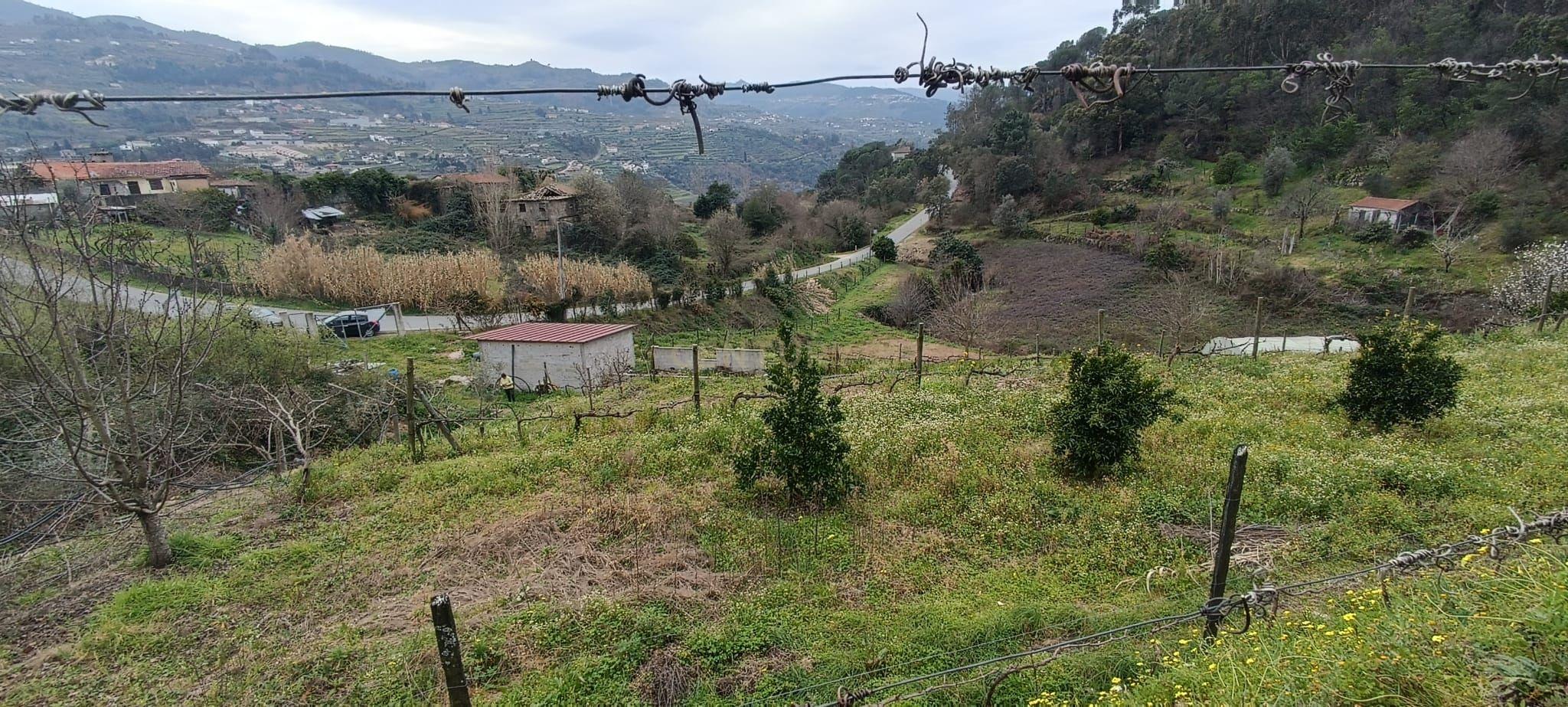 Terreno agrícola com àgua e viabilidade de construção em Granja, S. Tomé de Covelas, Baião, perto do do rio Douro, Porto - Image 33