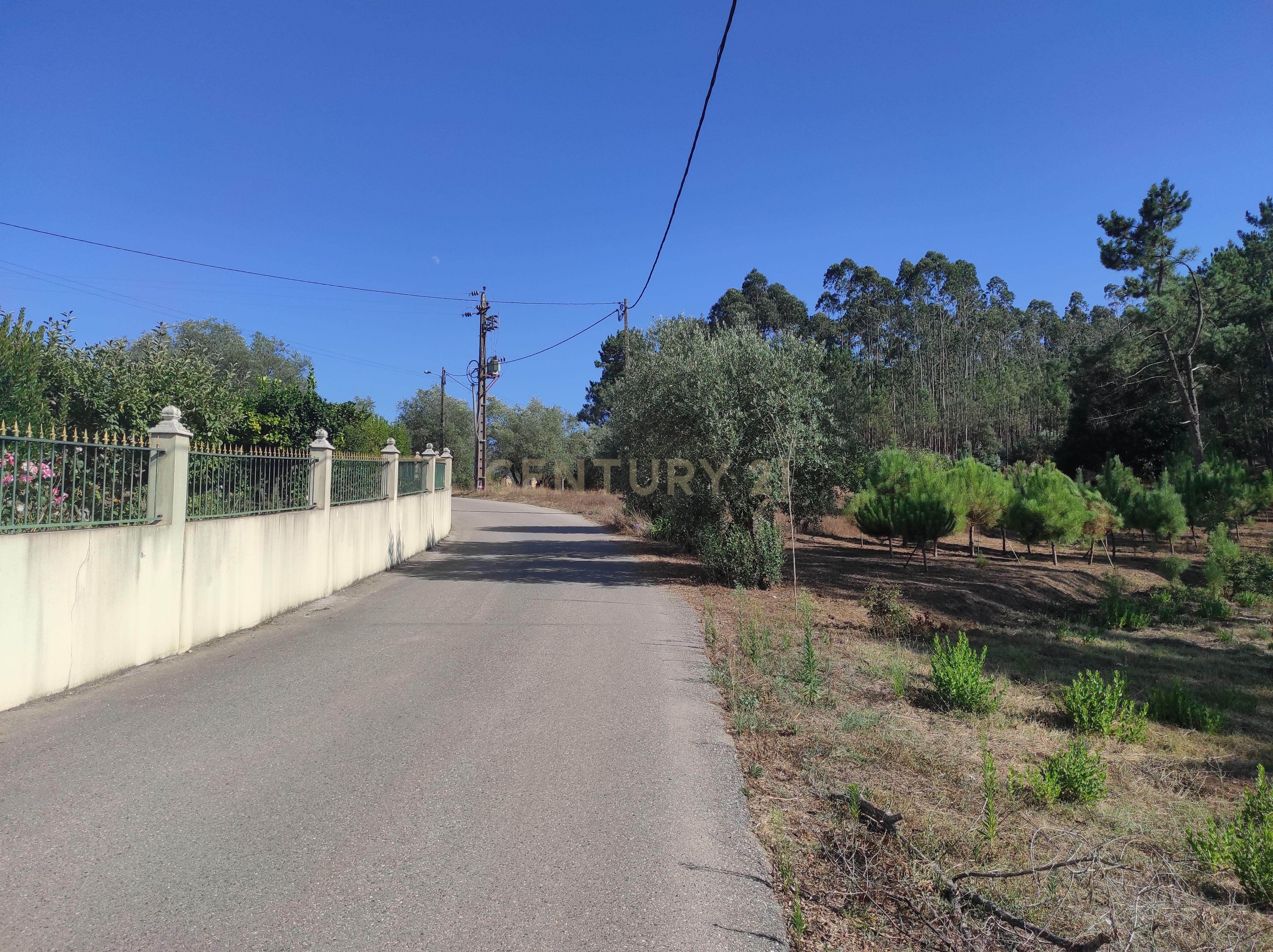 Longra I Caranguejeira I Leiria - Image 3