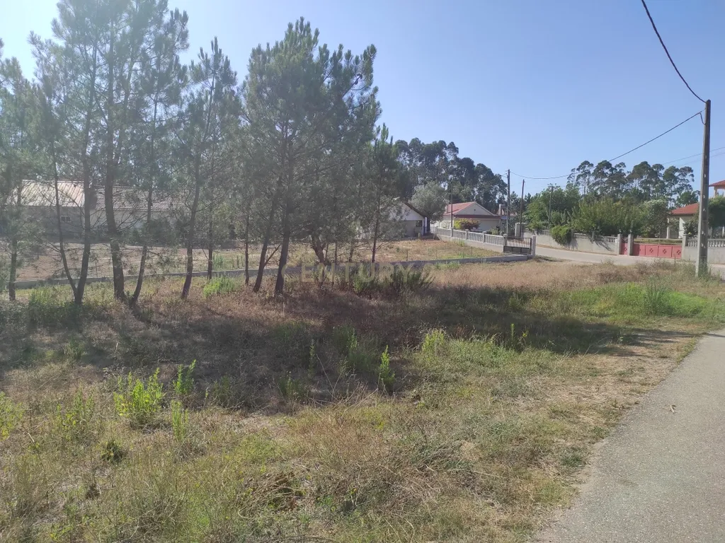 Longra I Caranguejeira I Leiria - Image 10