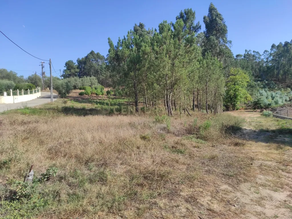 Longra I Caranguejeira I Leiria - Image 14