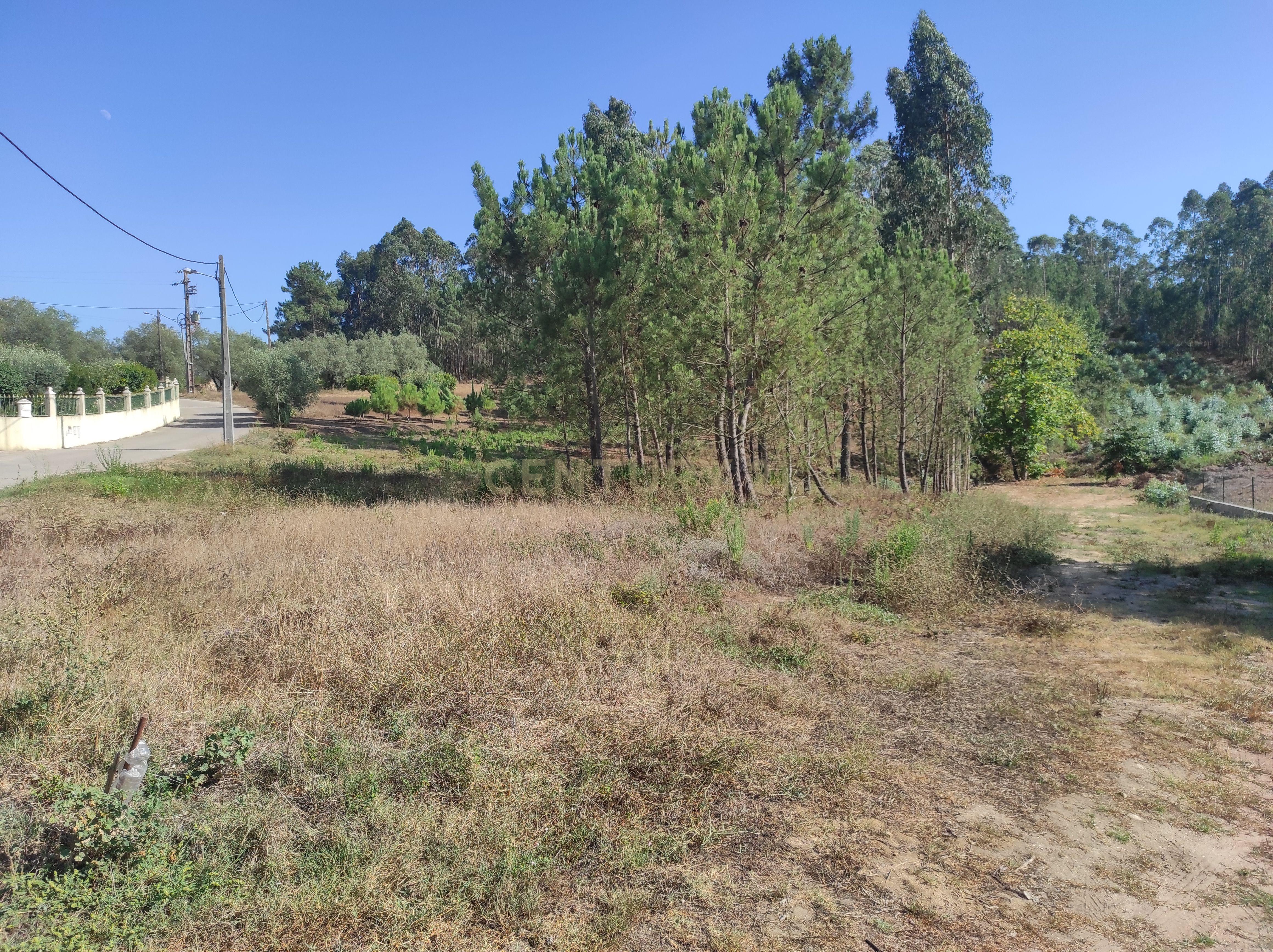 Longra I Caranguejeira I Leiria - Image 8