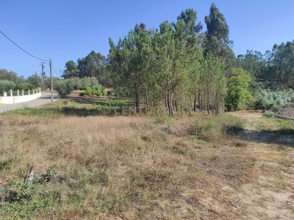 Longra I Caranguejeira I Leiria - Image 8