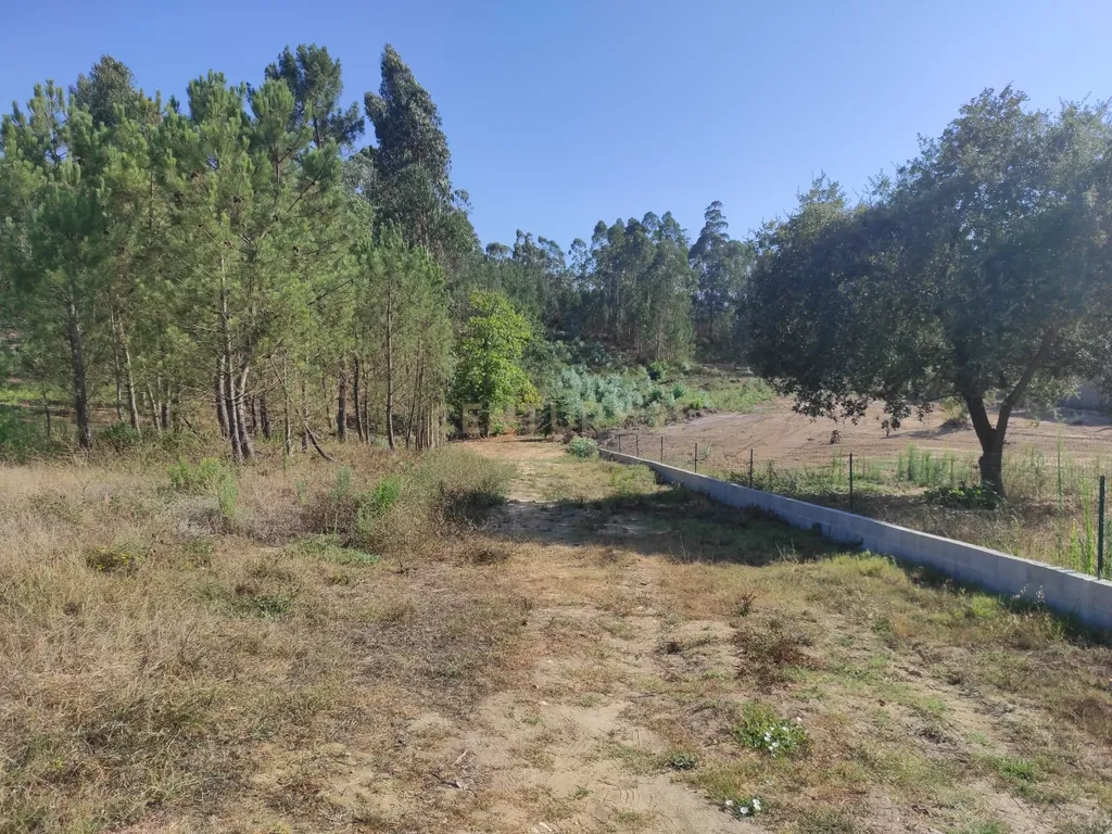Longra I Caranguejeira I Leiria - Image 15