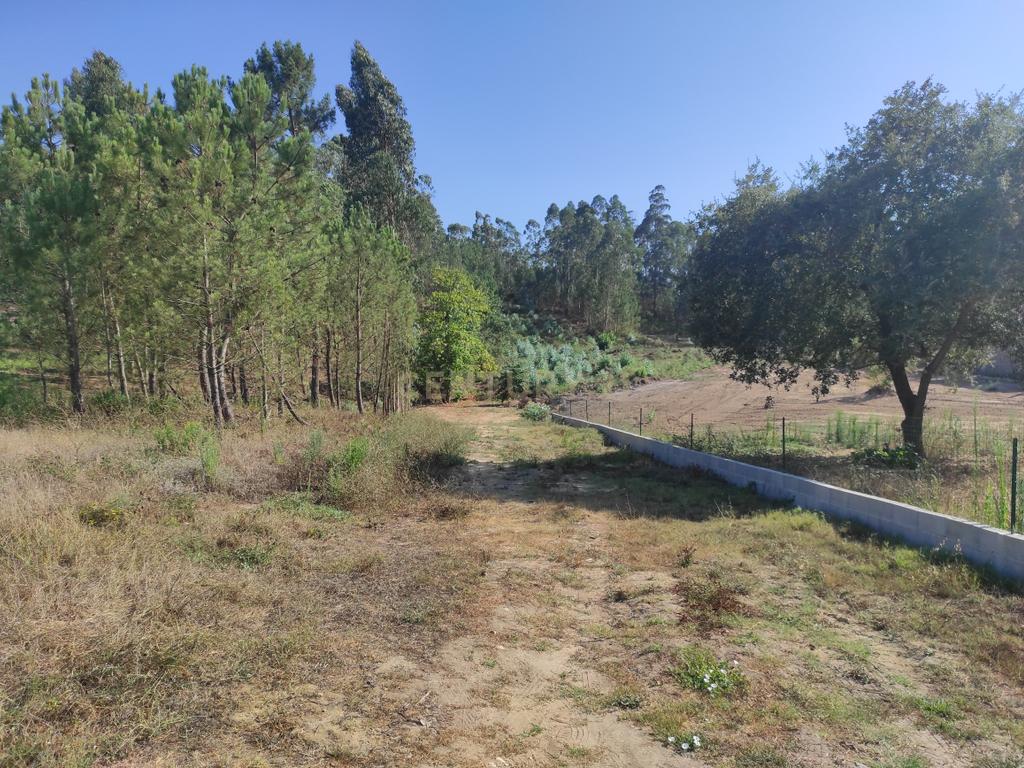 Longra I Caranguejeira I Leiria - Image 9