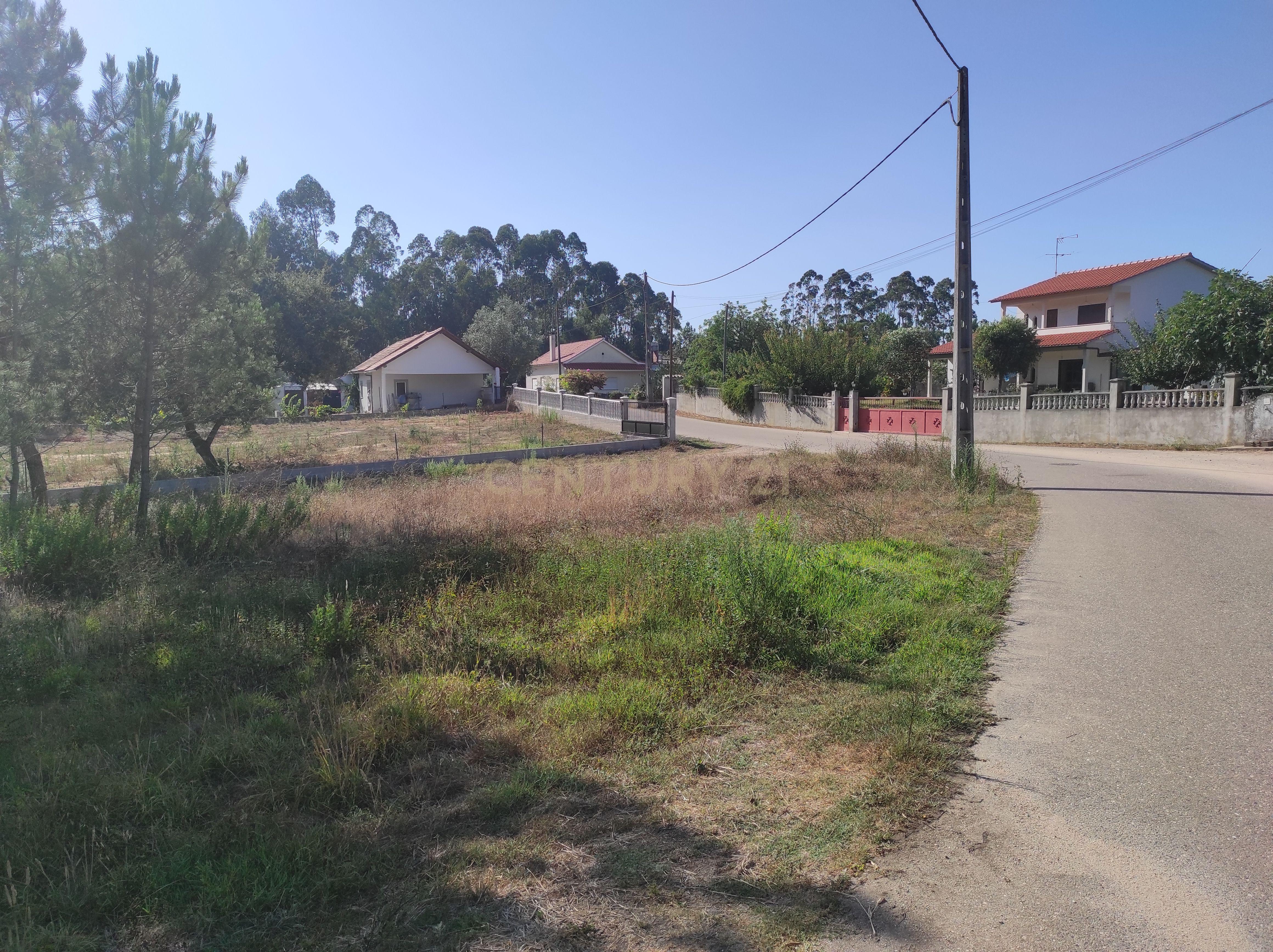 Longra I Caranguejeira I Leiria - Image 4