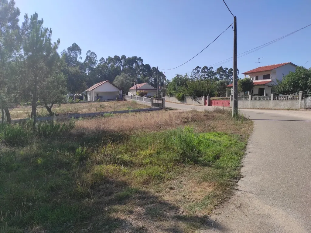 Longra I Caranguejeira I Leiria - Image 5