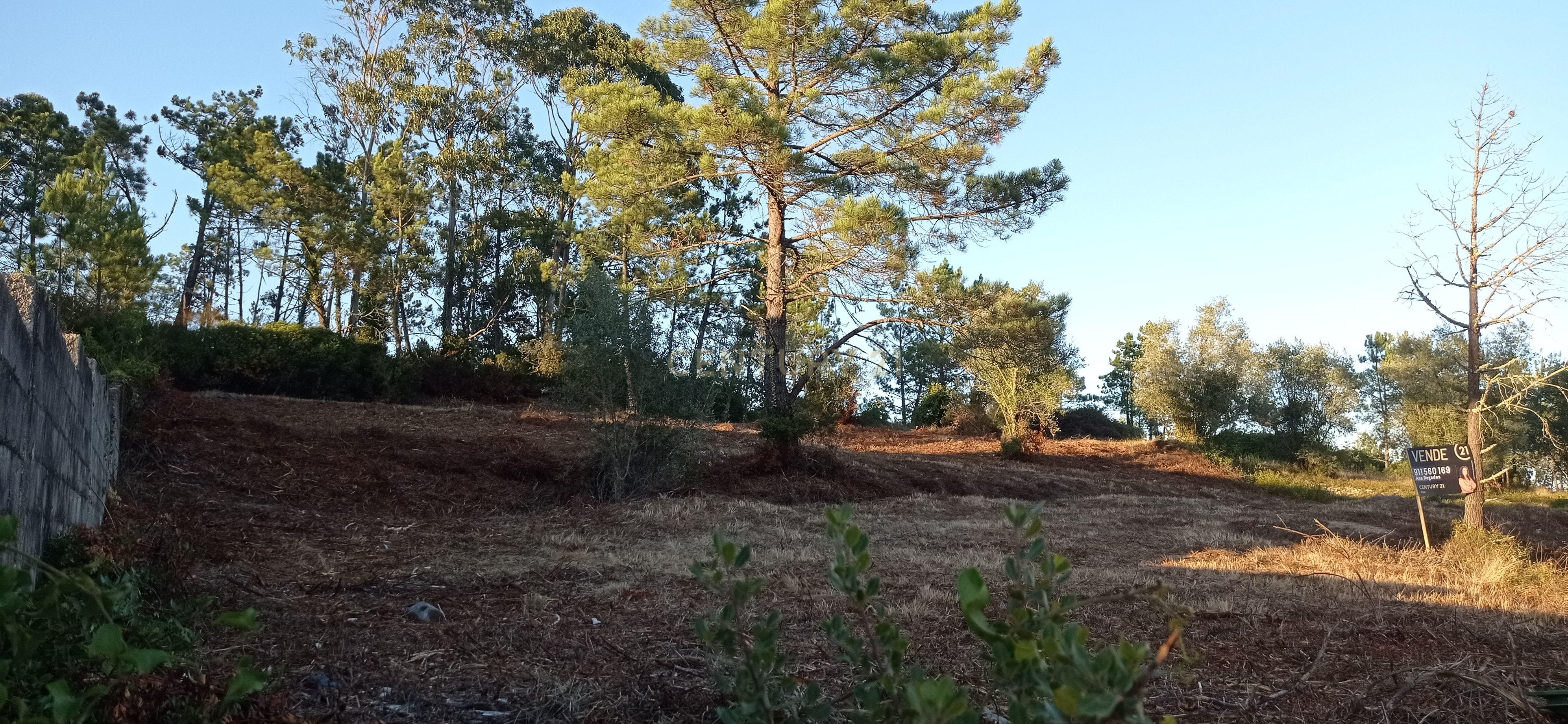 Terreno urbano a 6 Kms da Figueira da Foz - Image 8