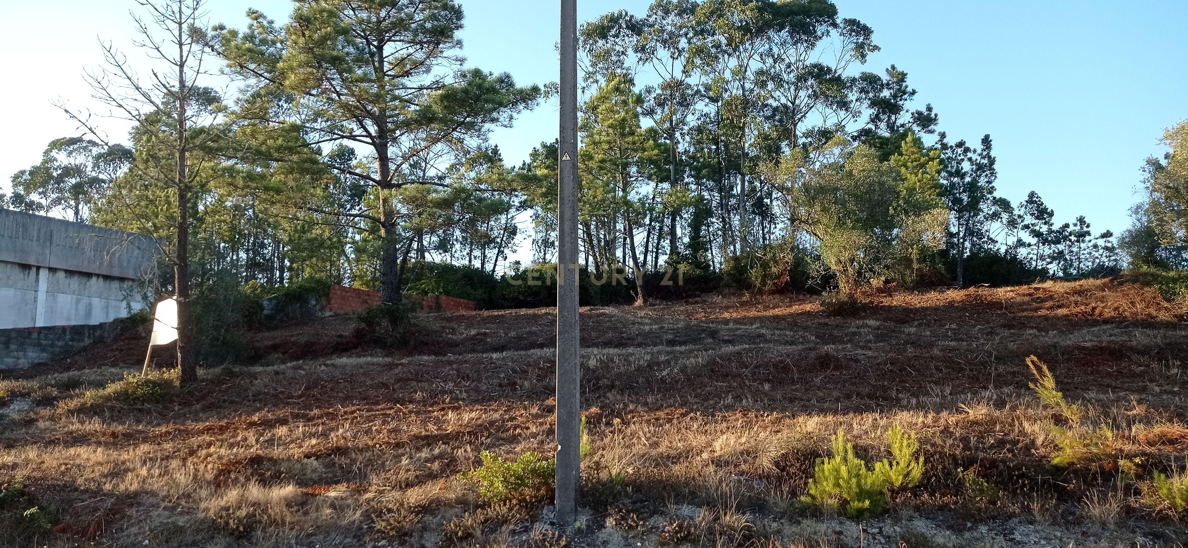 Terreno urbano a 6 Kms da Figueira da Foz - Image 18