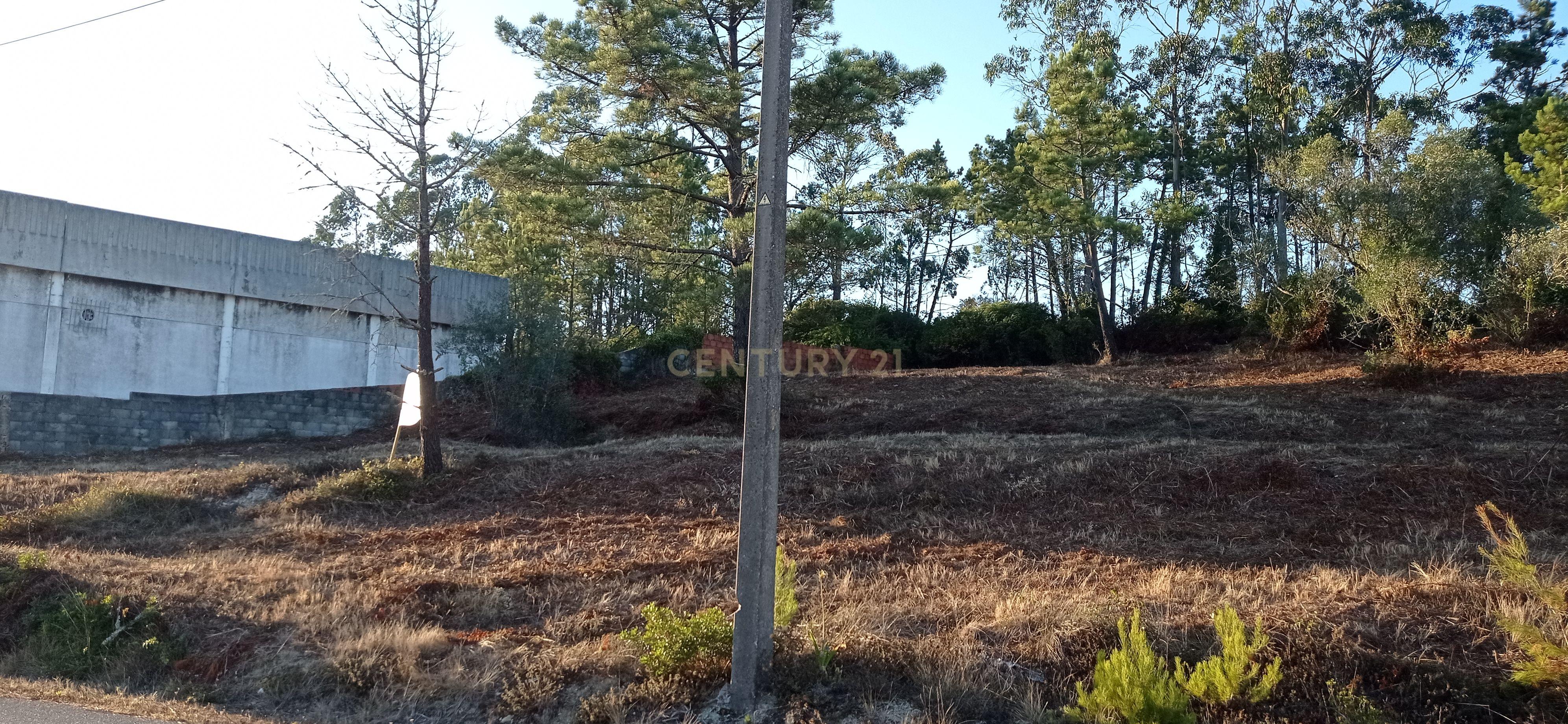 Terreno urbano a 6 Kms da Figueira da Foz - Image 21