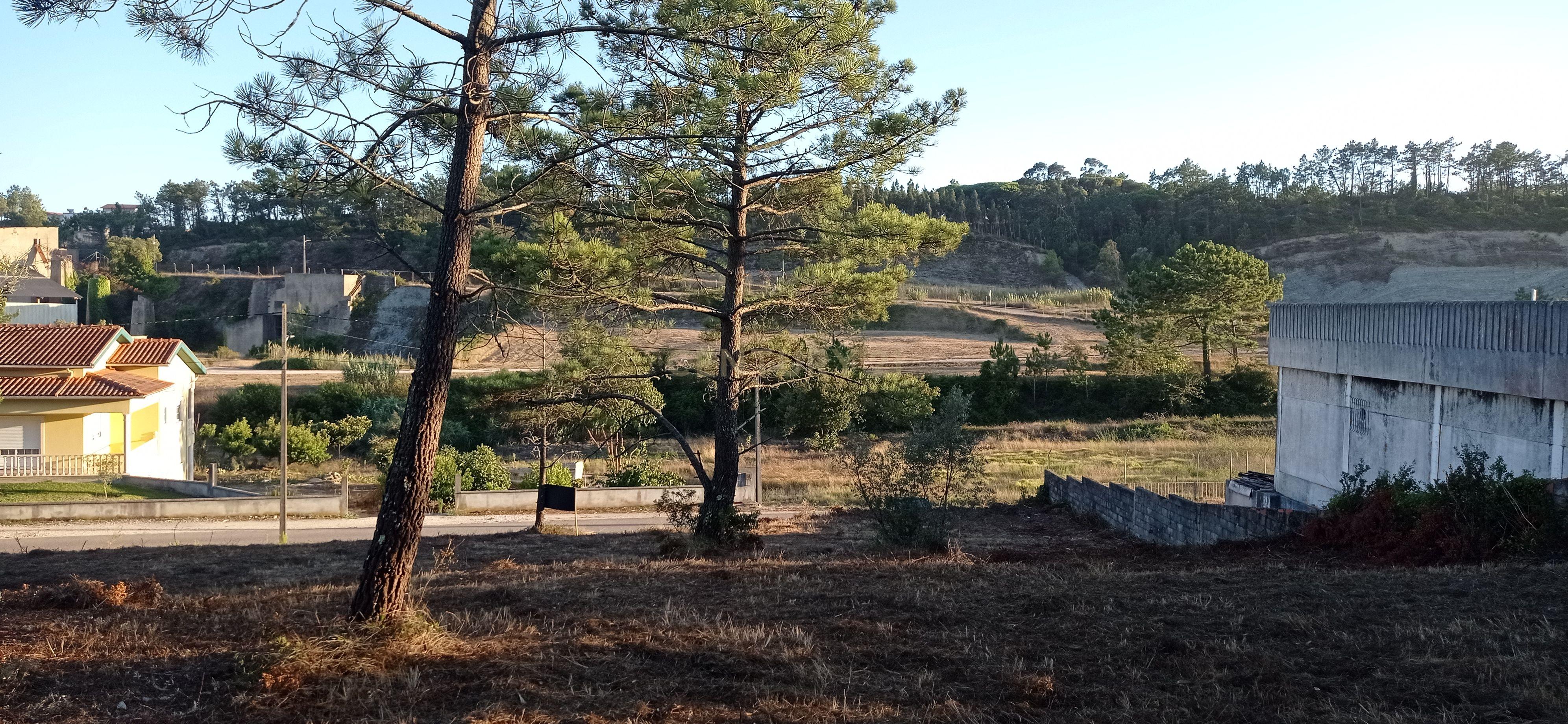 Terreno urbano a 6 Kms da Figueira da Foz - Image 3