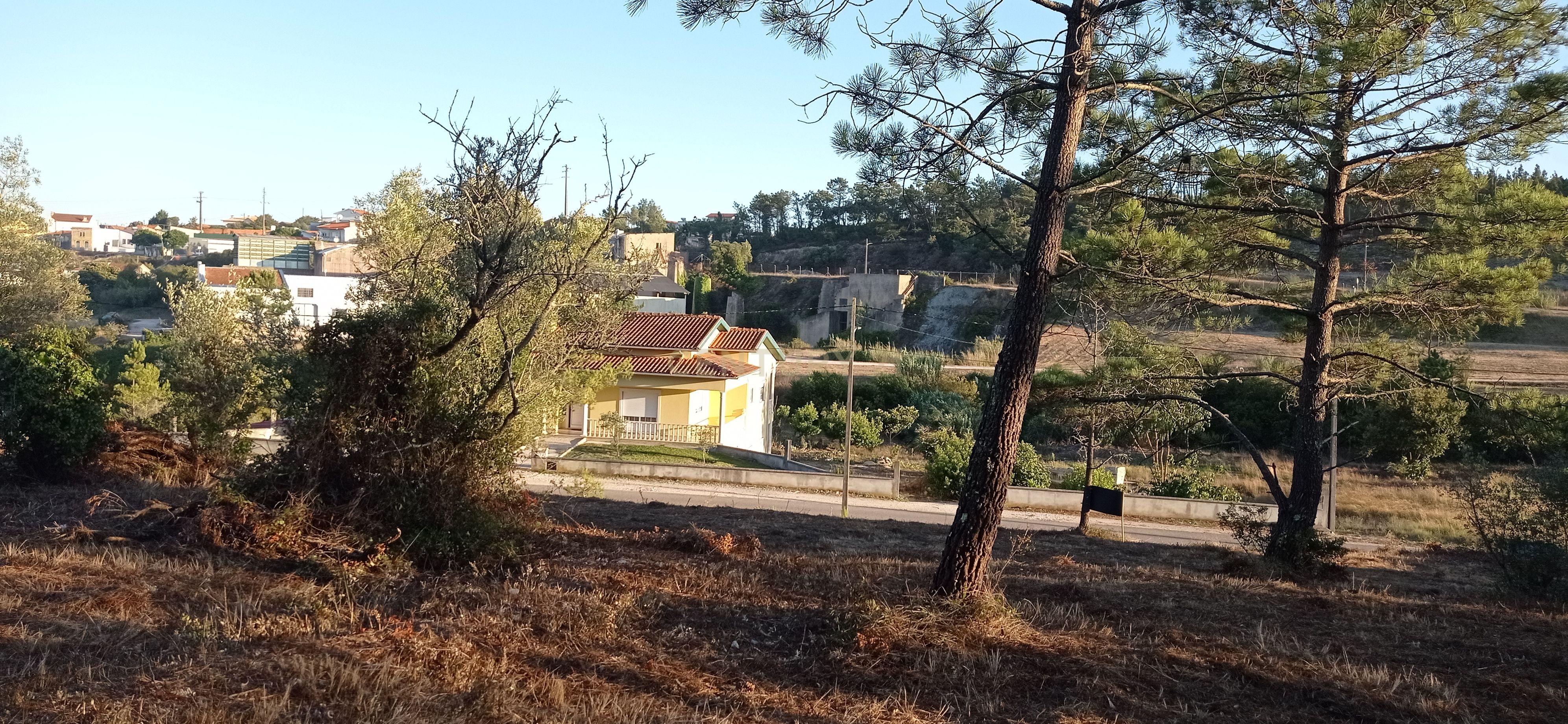 Terreno urbano a 6 Kms da Figueira da Foz - Image 4
