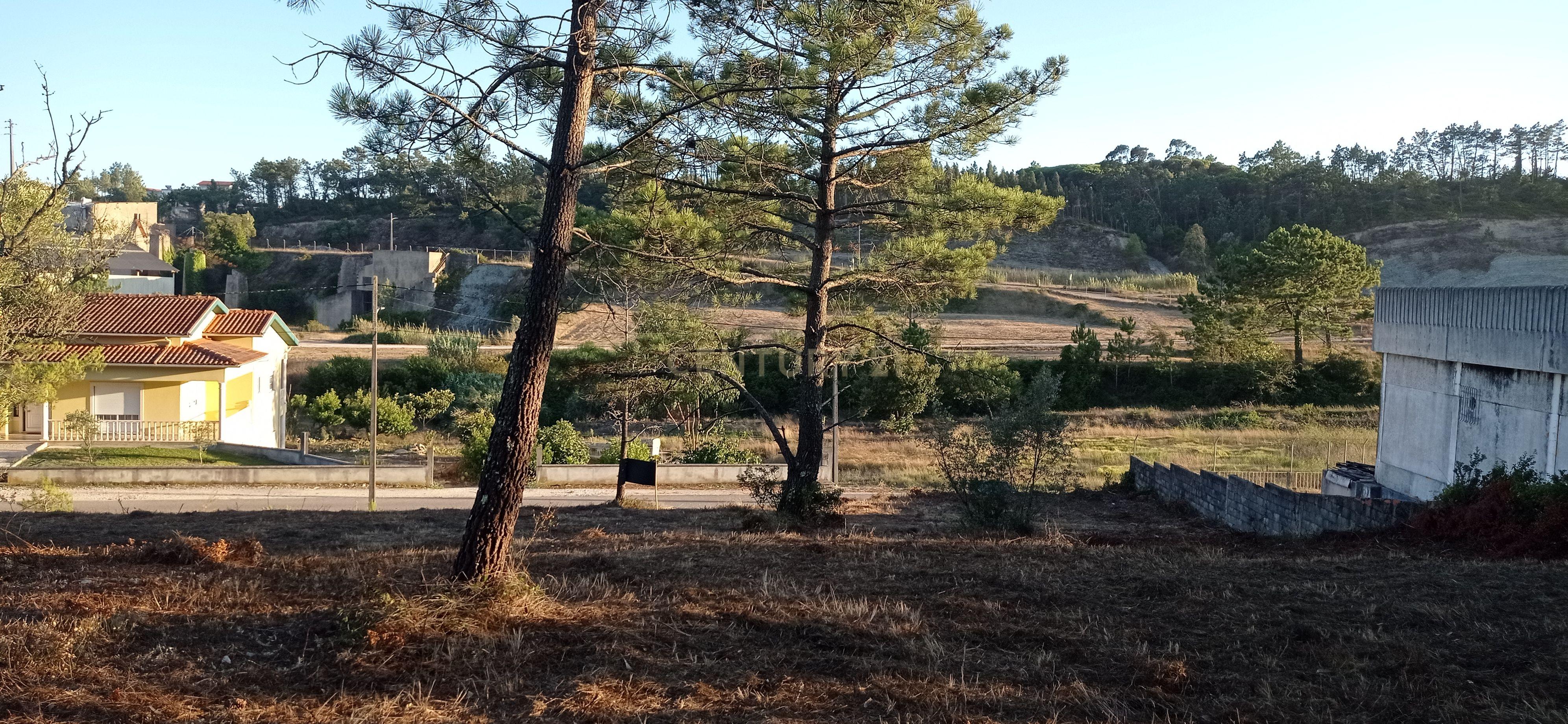 Terreno urbano a 6 Kms da Figueira da Foz - Image 5
