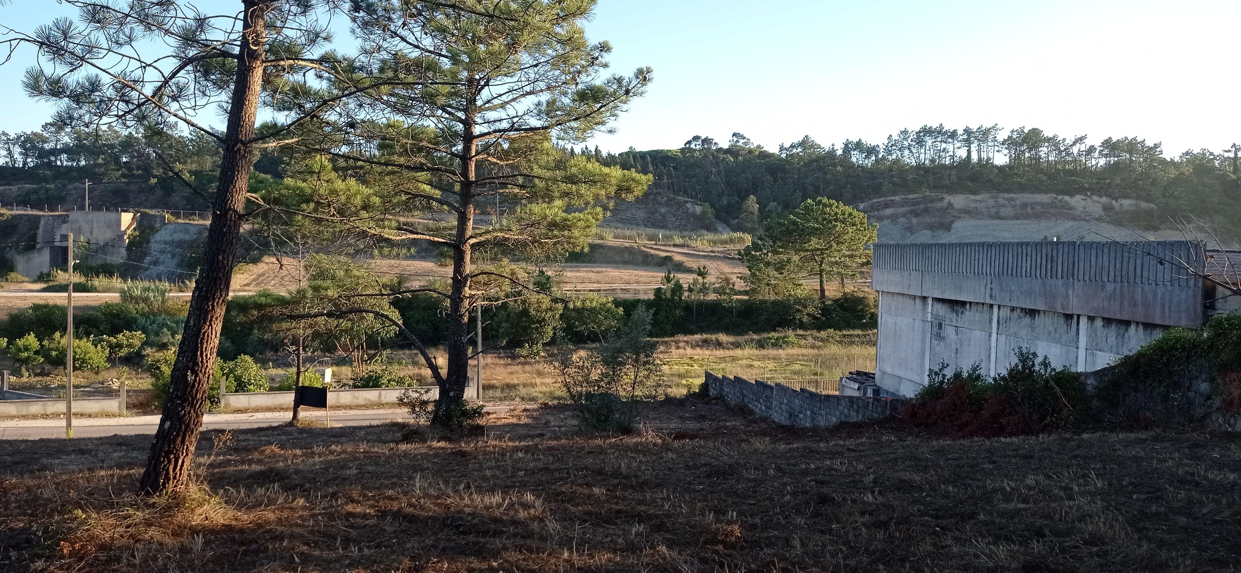 Terreno urbano a 6 Kms da Figueira da Foz - Image 6