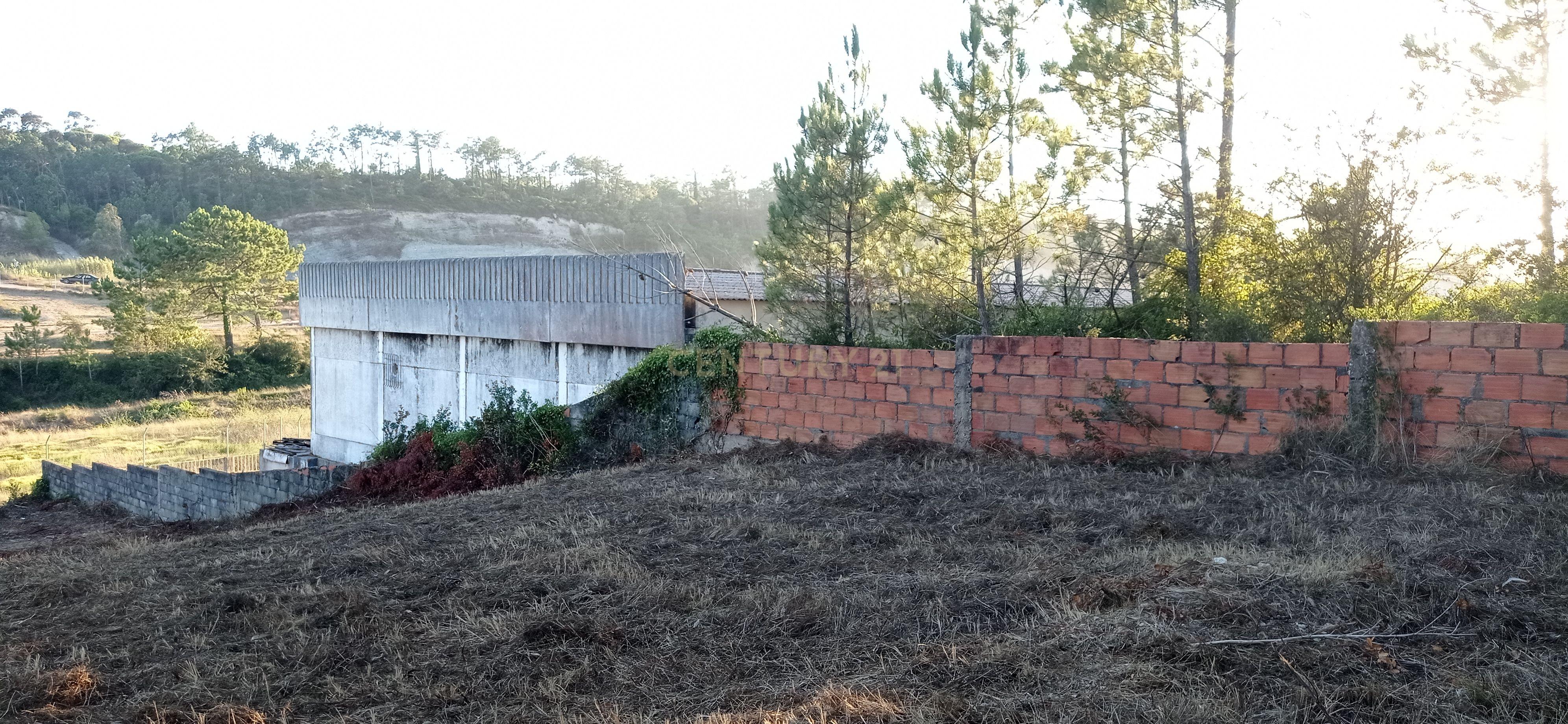 Terreno urbano a 6 Kms da Figueira da Foz - Image 9
