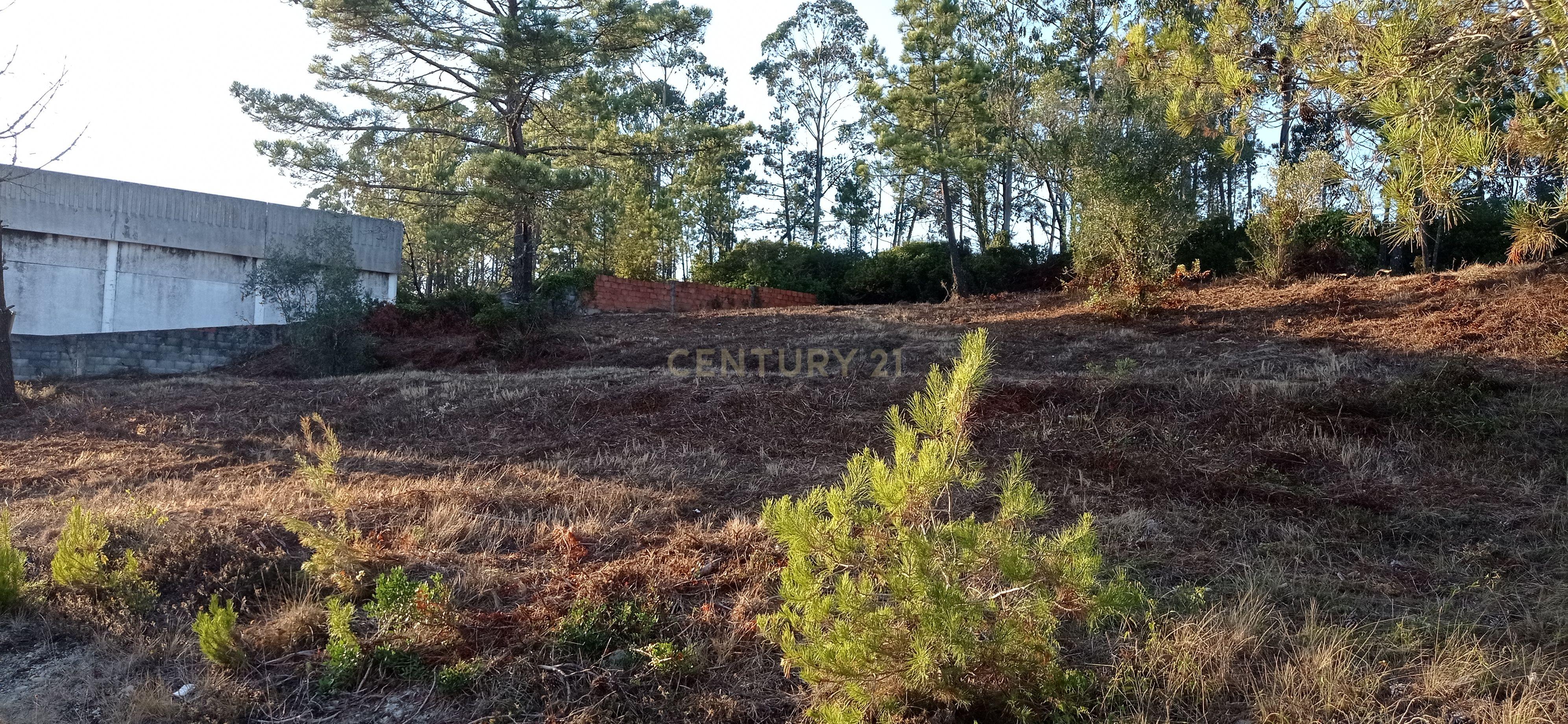 Terreno urbano a 6 Kms da Figueira da Foz - Image 15
