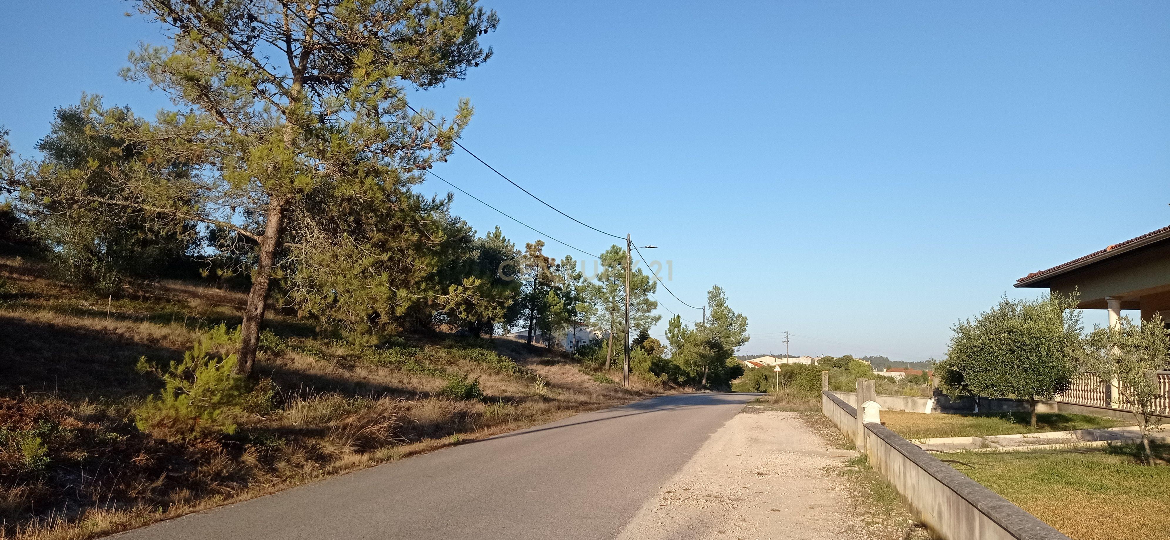 Terreno urbano a 6 Kms da Figueira da Foz - Image 16