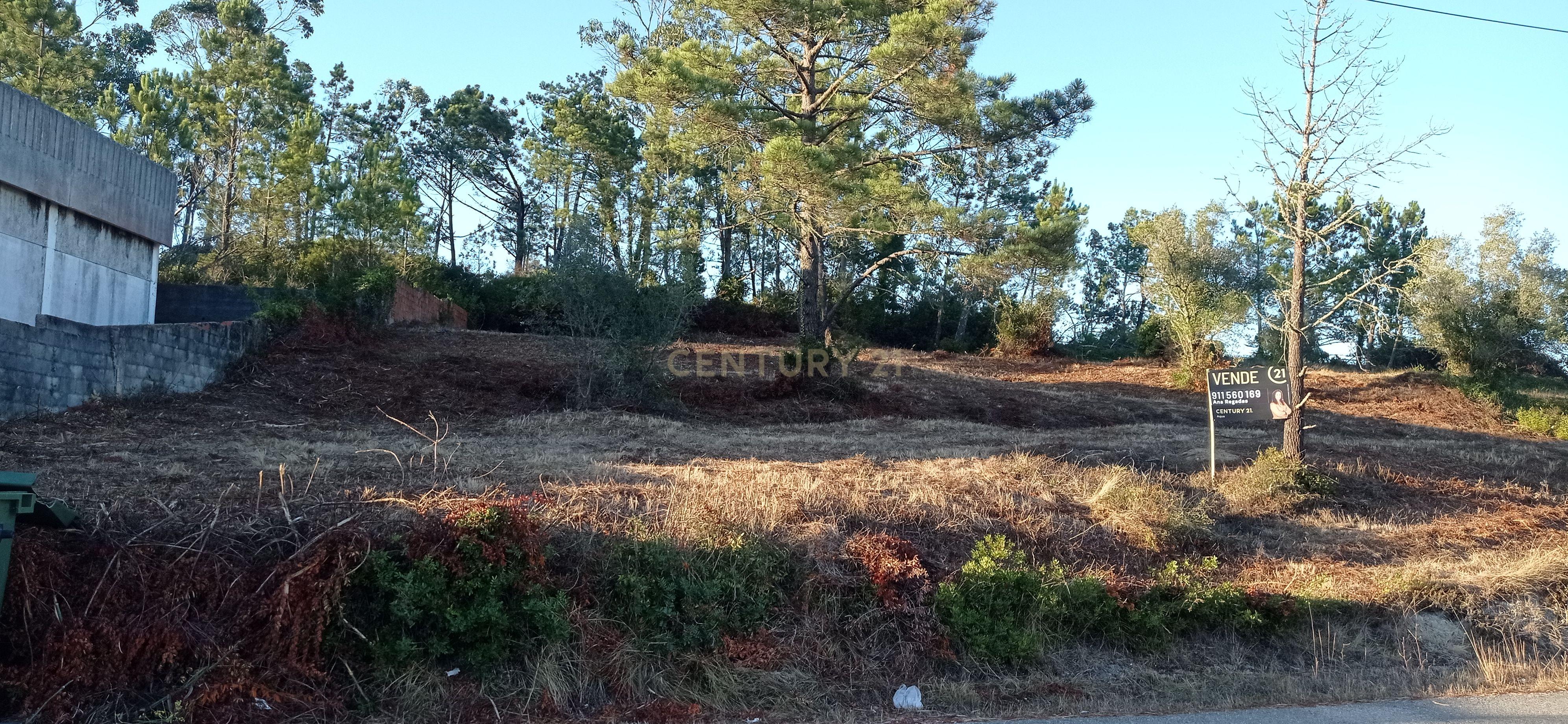 Terreno urbano a 6 Kms da Figueira da Foz - Image 19