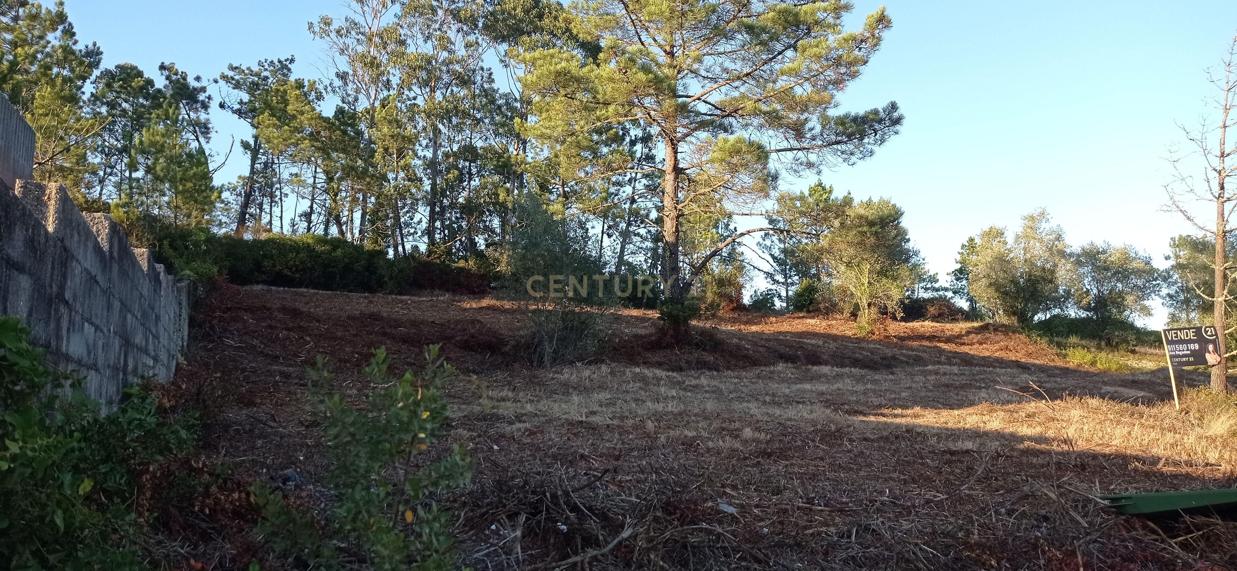 Terreno urbano a 6 Kms da Figueira da Foz - Image 20