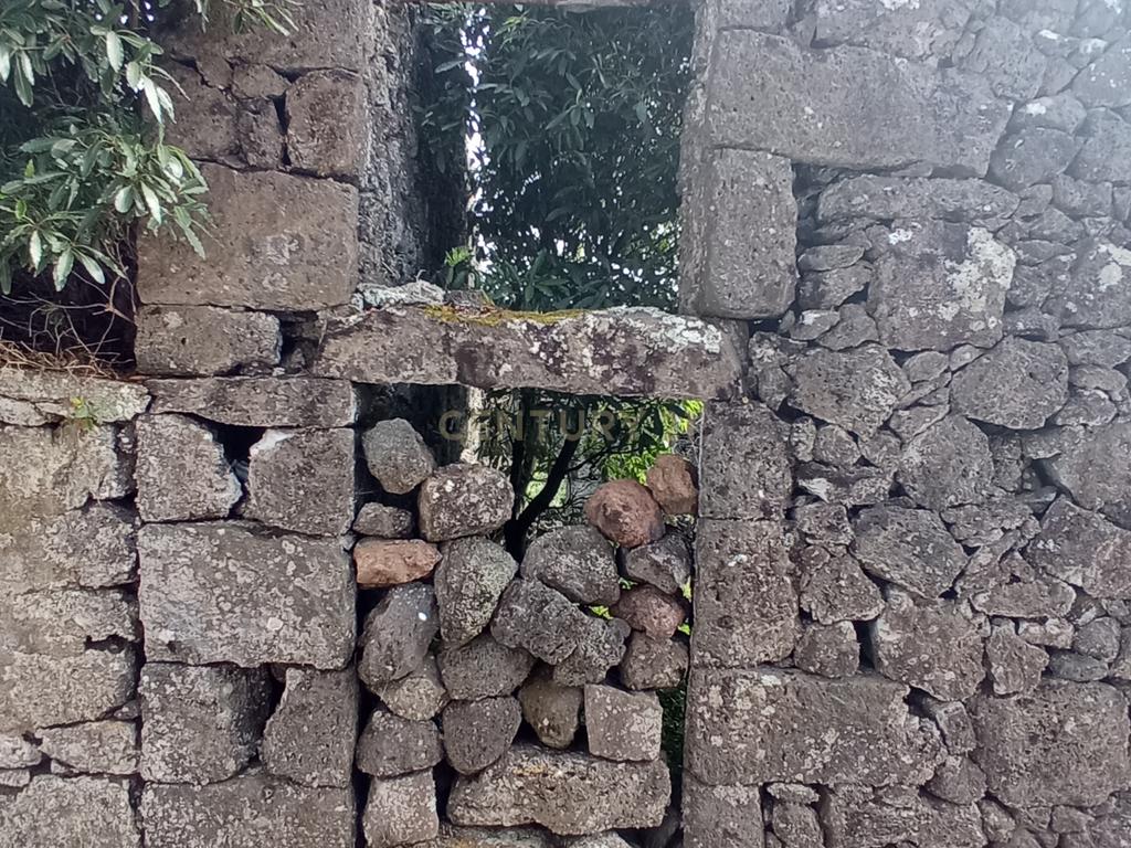 Ruína para reabilitação com quintal e 1 pasto na ilha Graciosa - Image 5