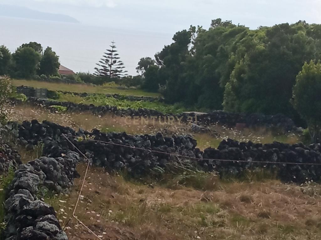Ruína para reabilitação com quintal e 1 pasto na ilha Graciosa - Image 9