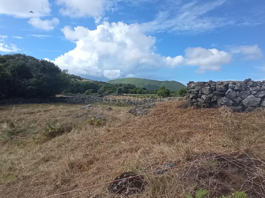 Ruína para reabilitação com quintal e 1 pasto na ilha Graciosa - Image 8