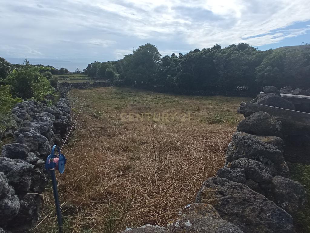 Ruína para reabilitação com quintal e 1 pasto na ilha Graciosa - Image 7