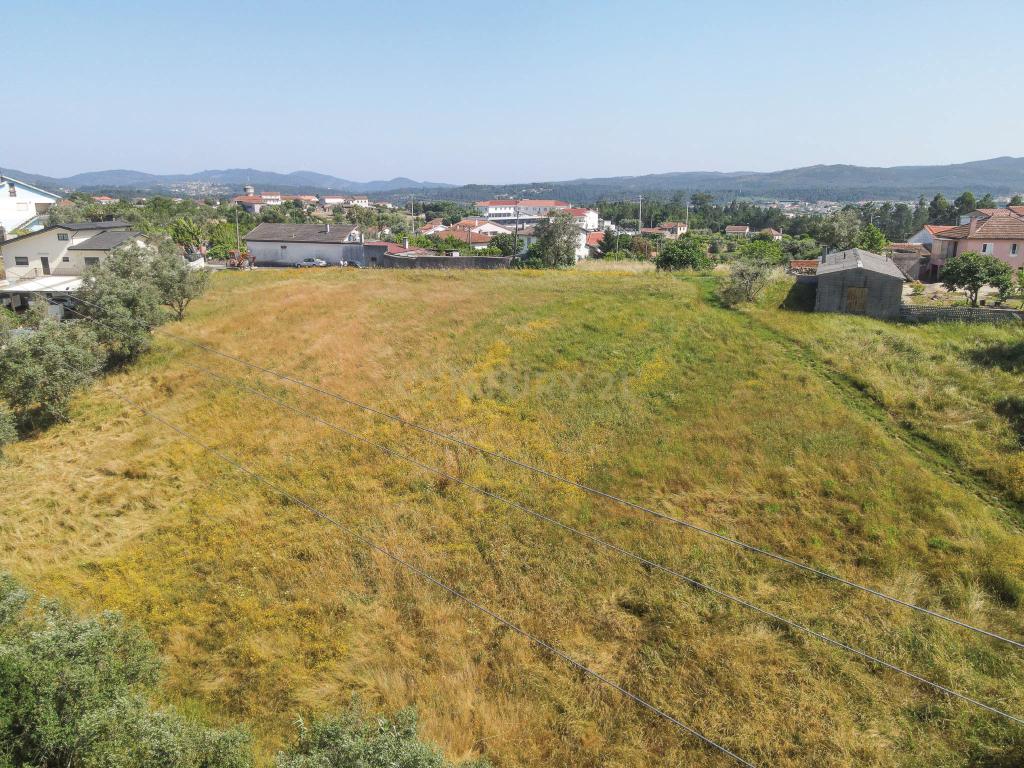 Terreno - Vila Nova de Poiares - Image 4