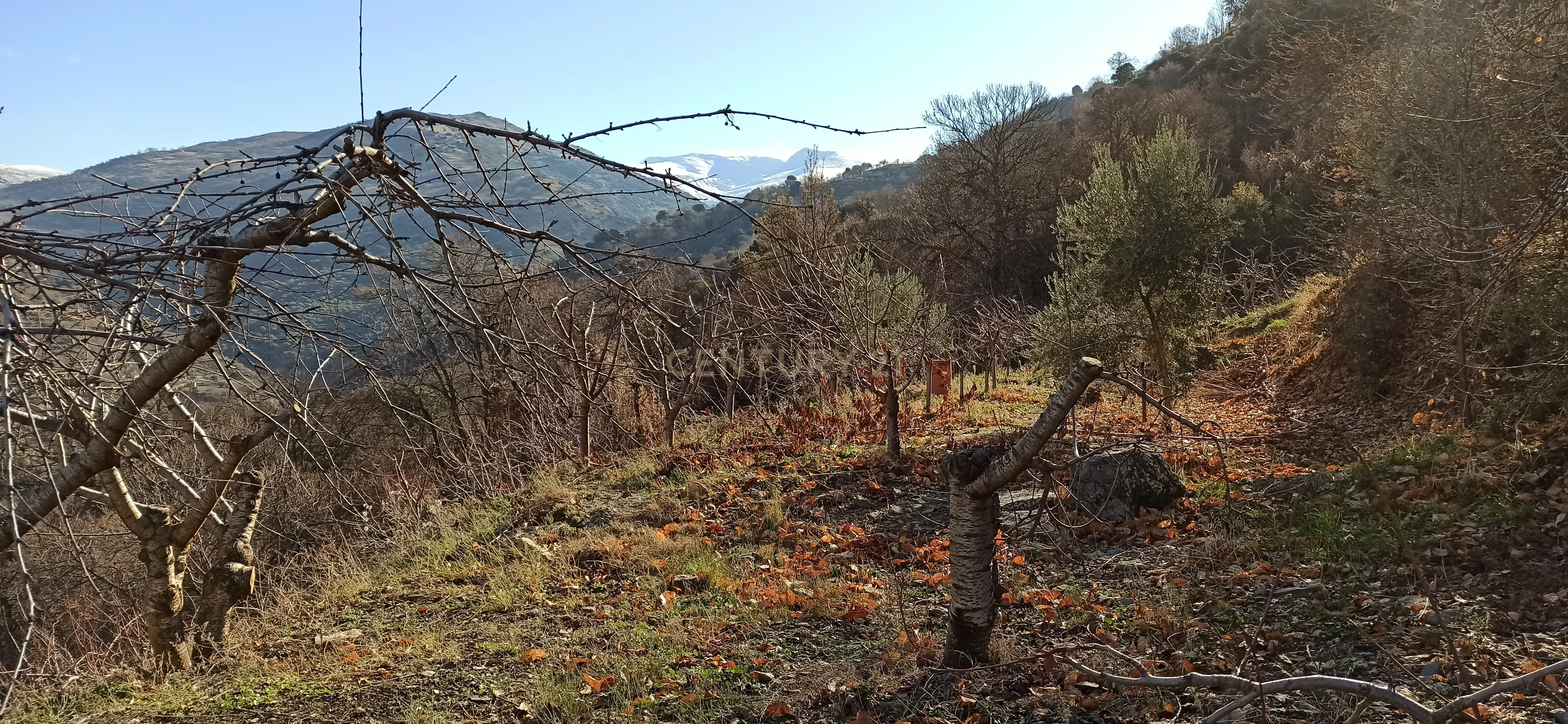 undefined - Image 1