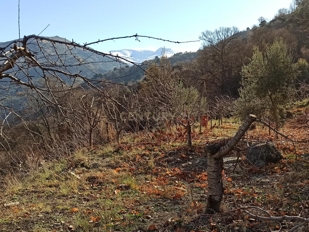 undefined - Image 1