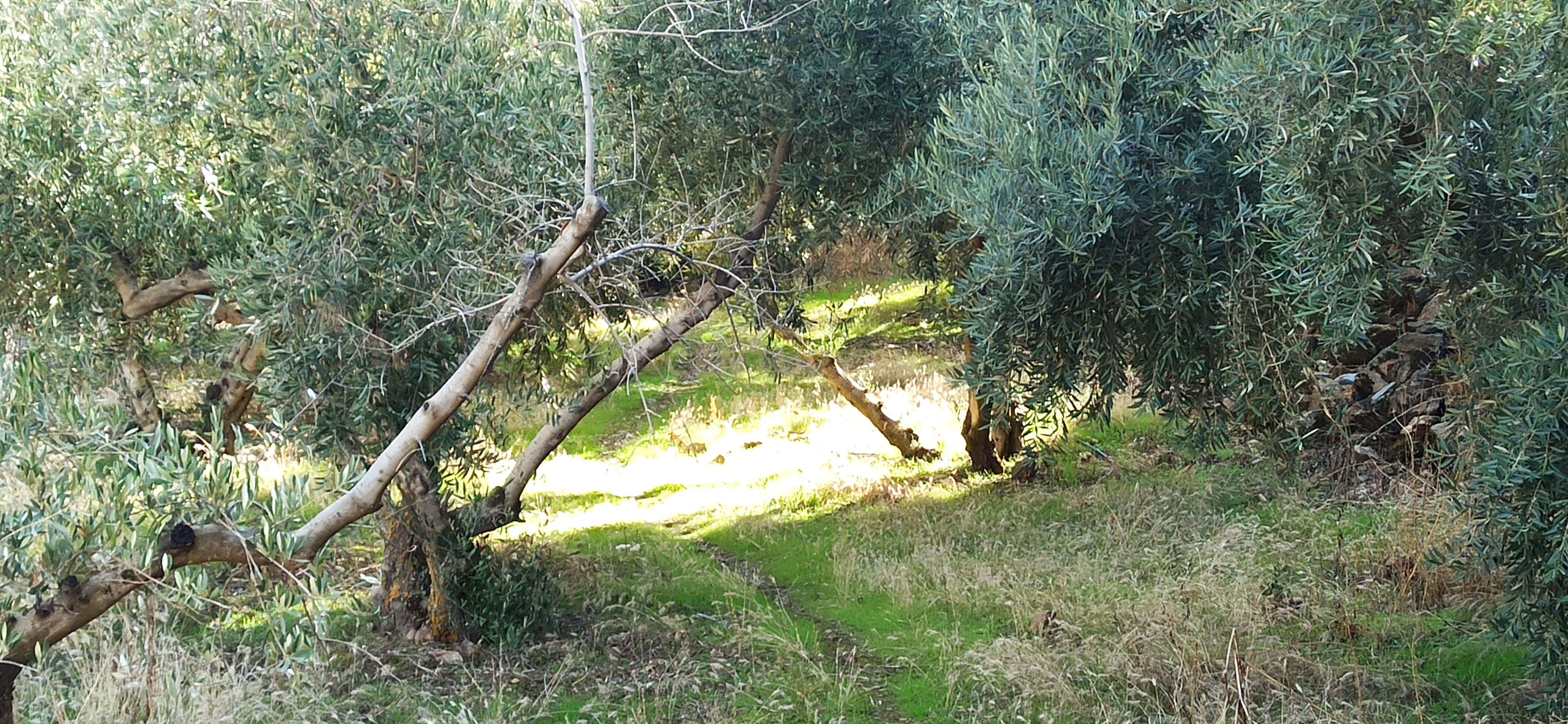 undefined - Image 4