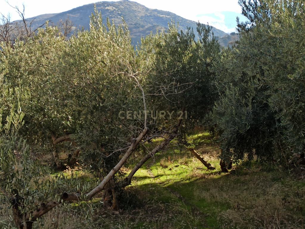 undefined - Image 9