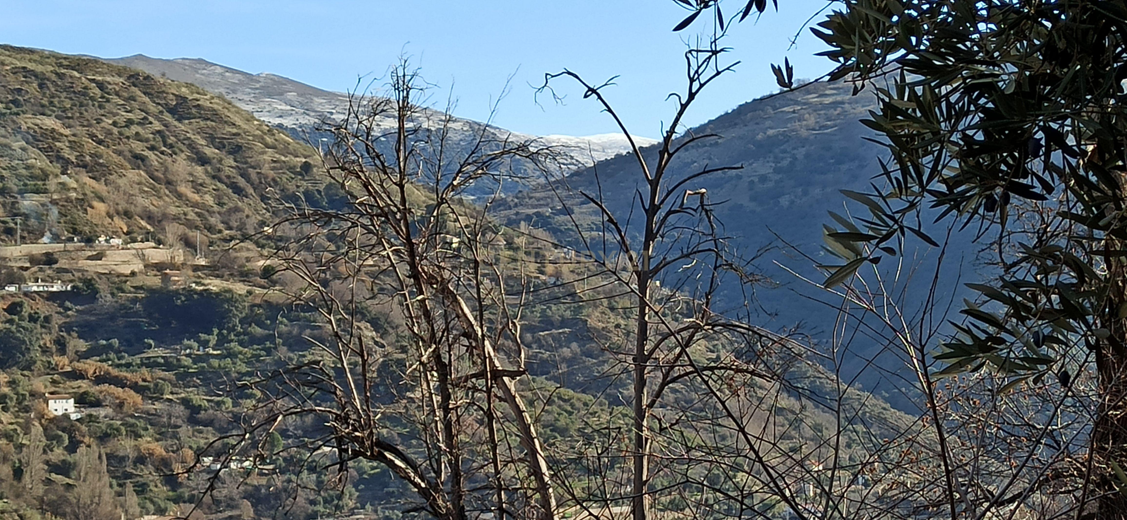 undefined - Image 10