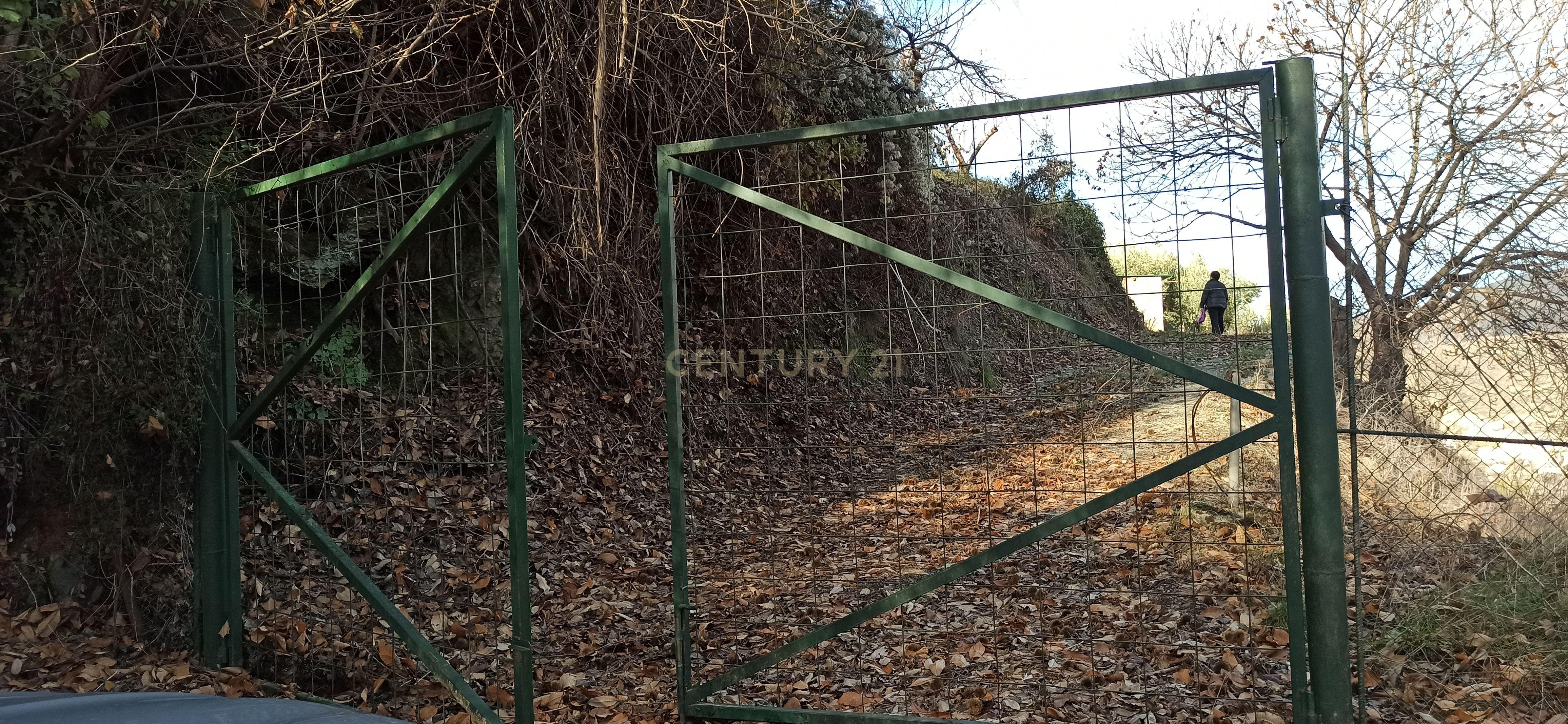 undefined - Image 7