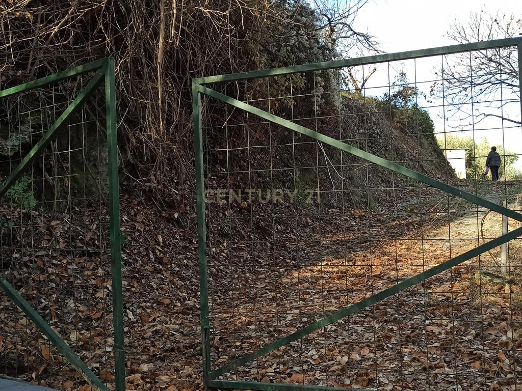 undefined - Image 7