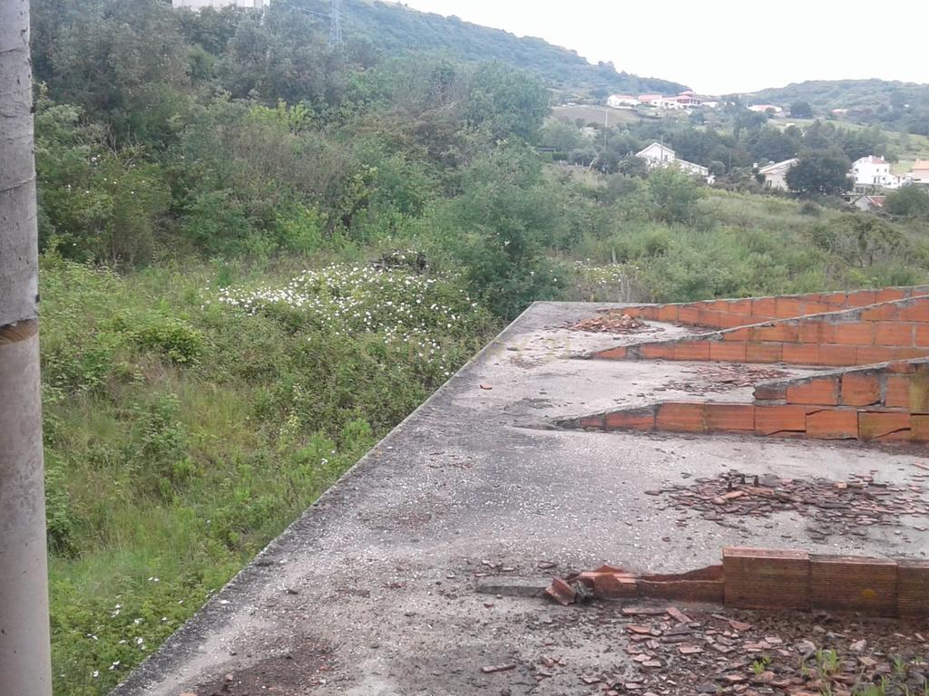TERRENO RÚSTICO COM 1,464 HECTARES EM ALHANDRA - Image 14