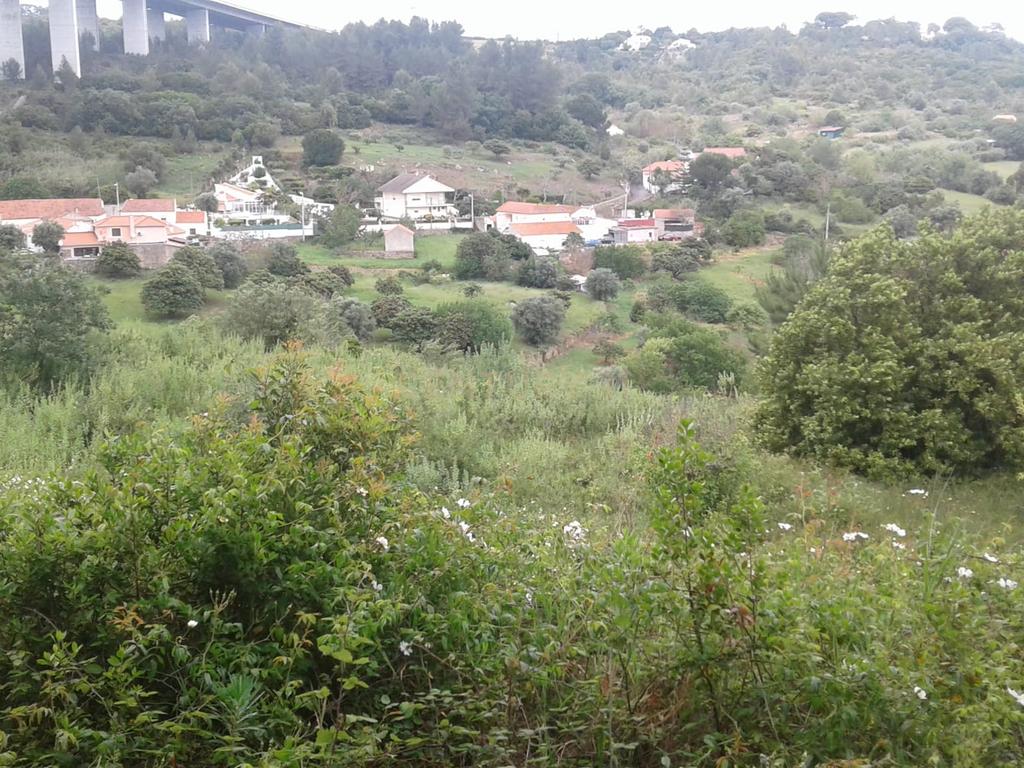 TERRENO RÚSTICO COM 1,464 HECTARES EM ALHANDRA - Image 12