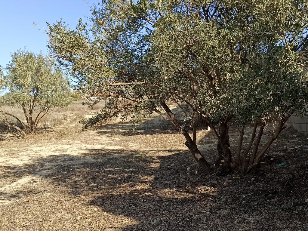 undefined - Image 10