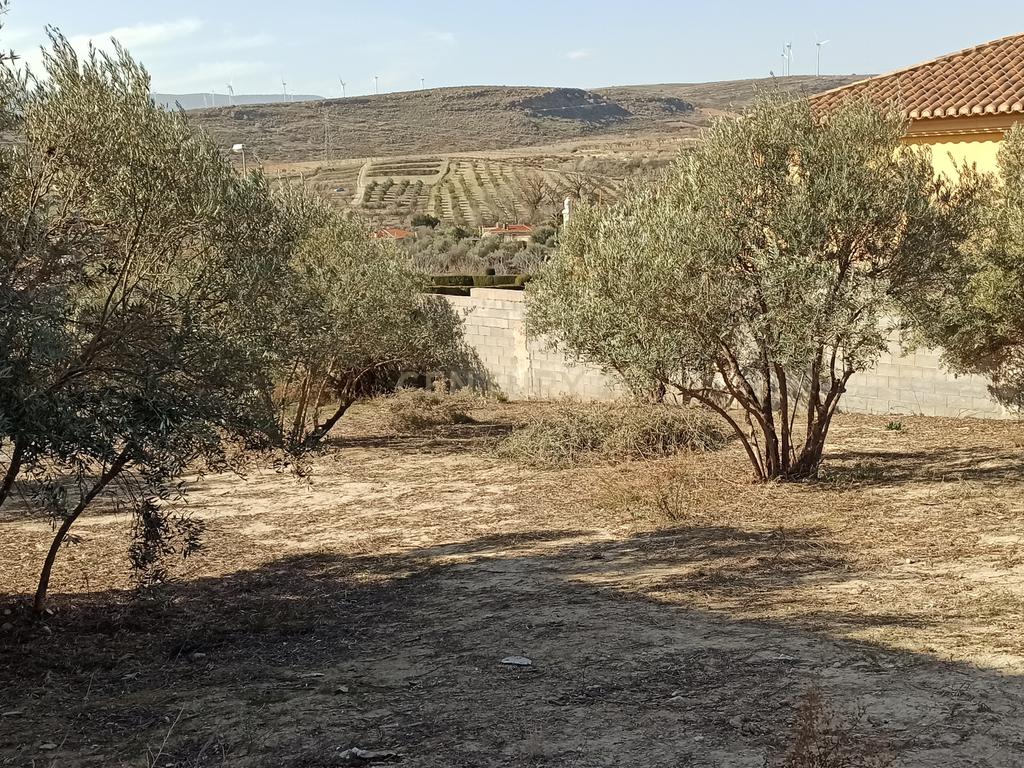 undefined - Image 8