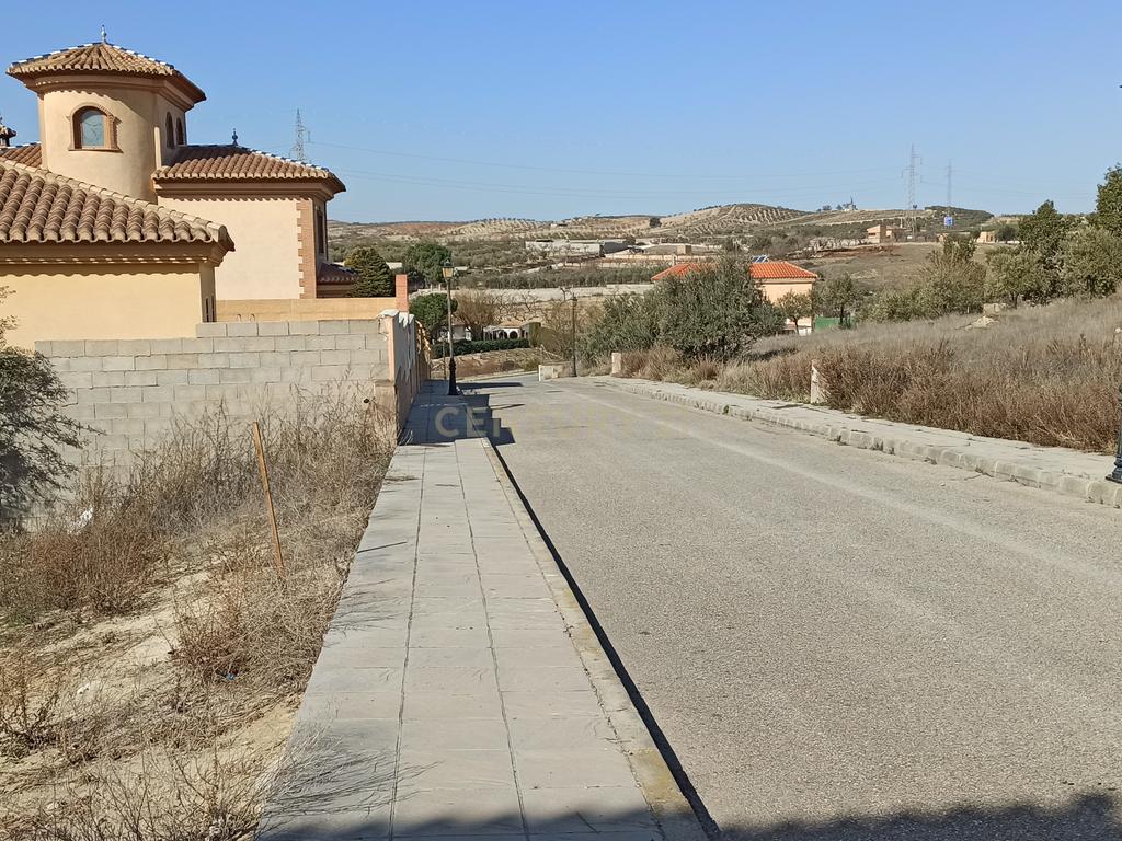 undefined - Image 5