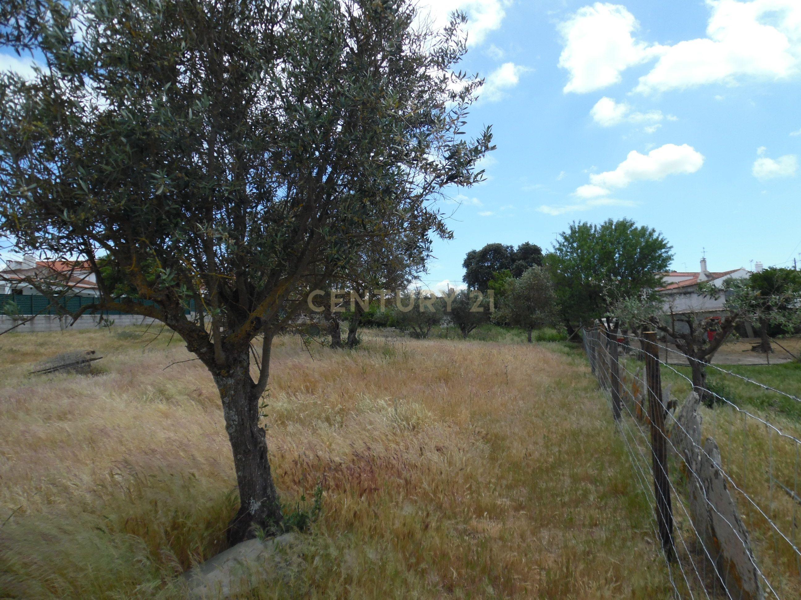Moradia T3 à venda em Capelins (Santo António), Alandroal — foto 25