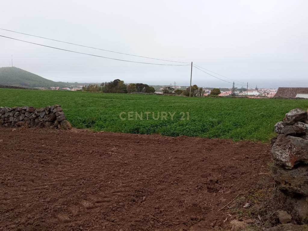 Excelente terreno com 9680 m2 em Santo Amaro - Santa Cruz da Graciosa - Image 2