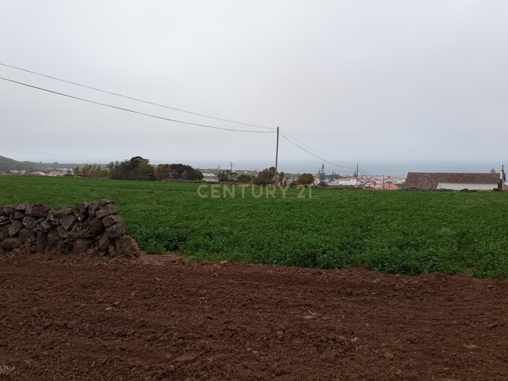 Excelente terreno com 9680 m2 em Santo Amaro - Santa Cruz da Graciosa - Image 5
