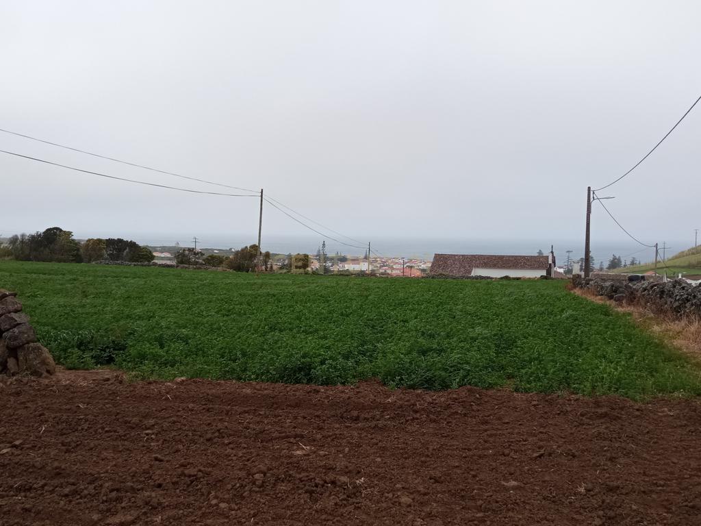 Excelente terreno com 9680 m2 em Santo Amaro - Santa Cruz da Graciosa - Image 4