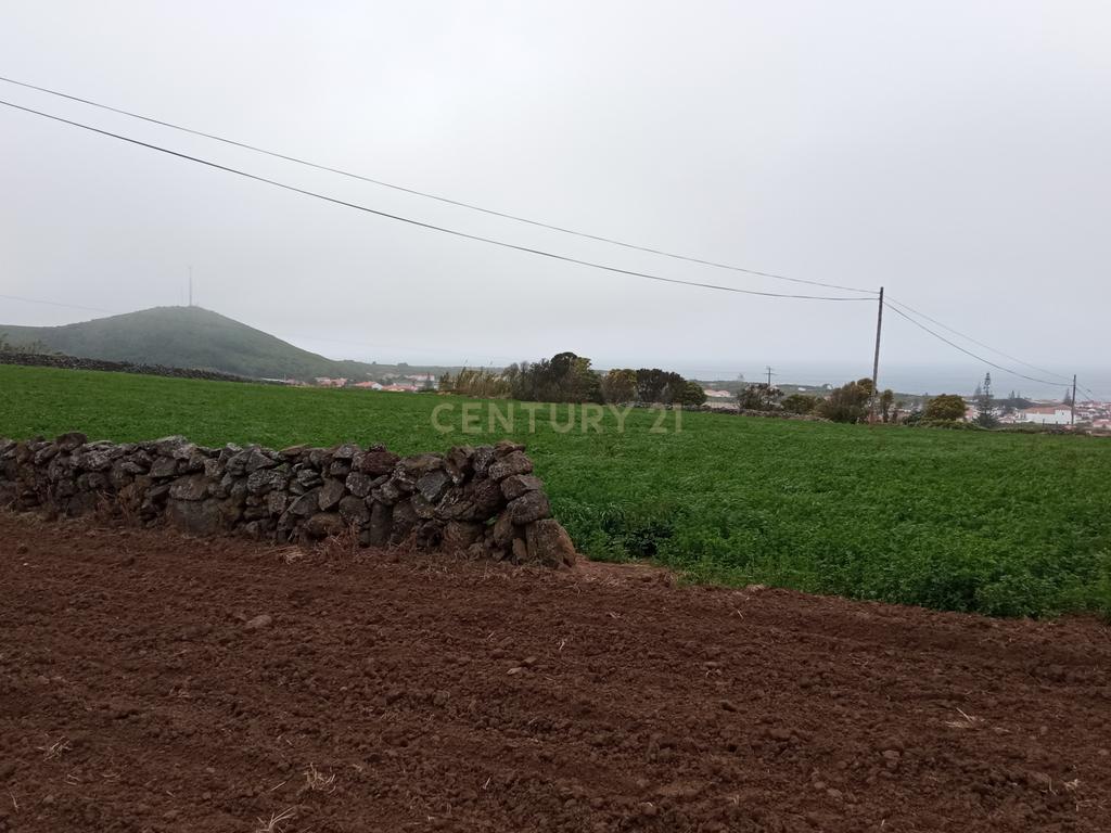 Excelente terreno com 9680 m2 em Santo Amaro - Santa Cruz da Graciosa - Image 3