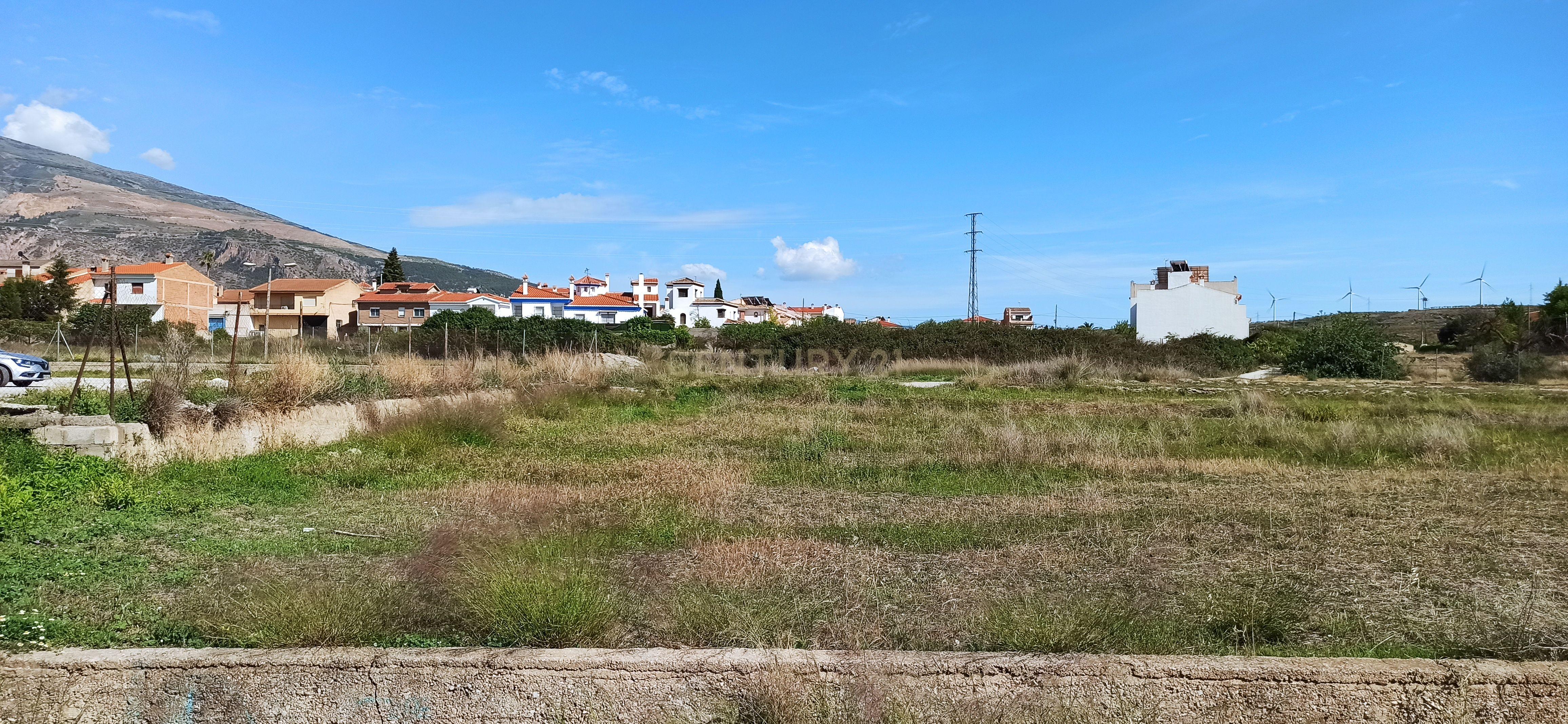 undefined - Image 3