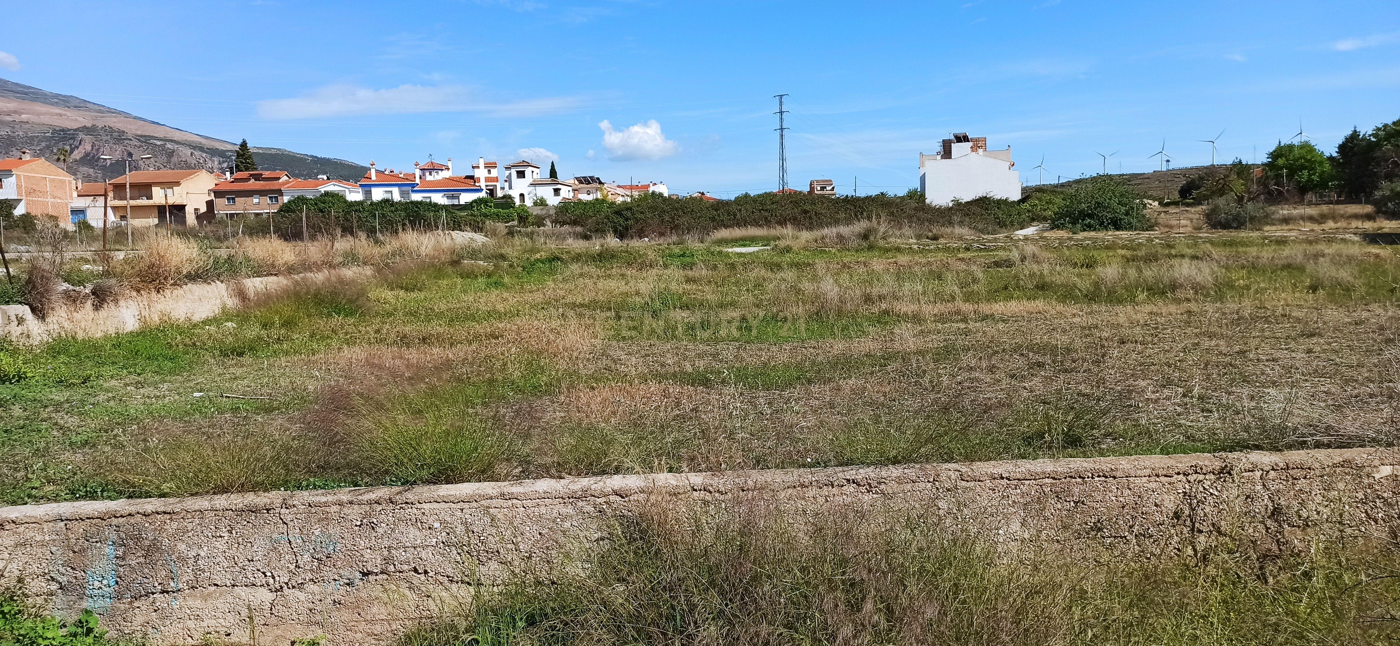 undefined - Image 15