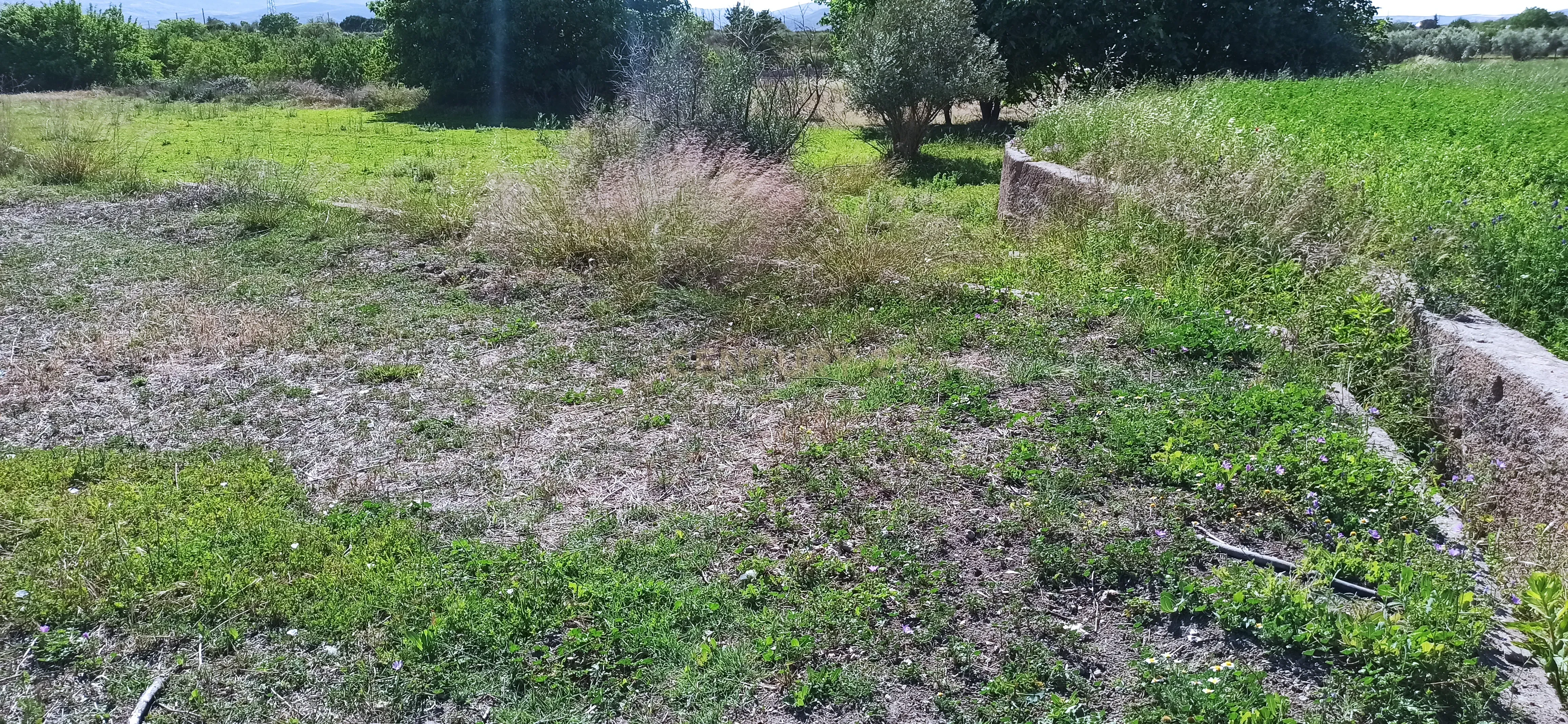undefined - Image 6