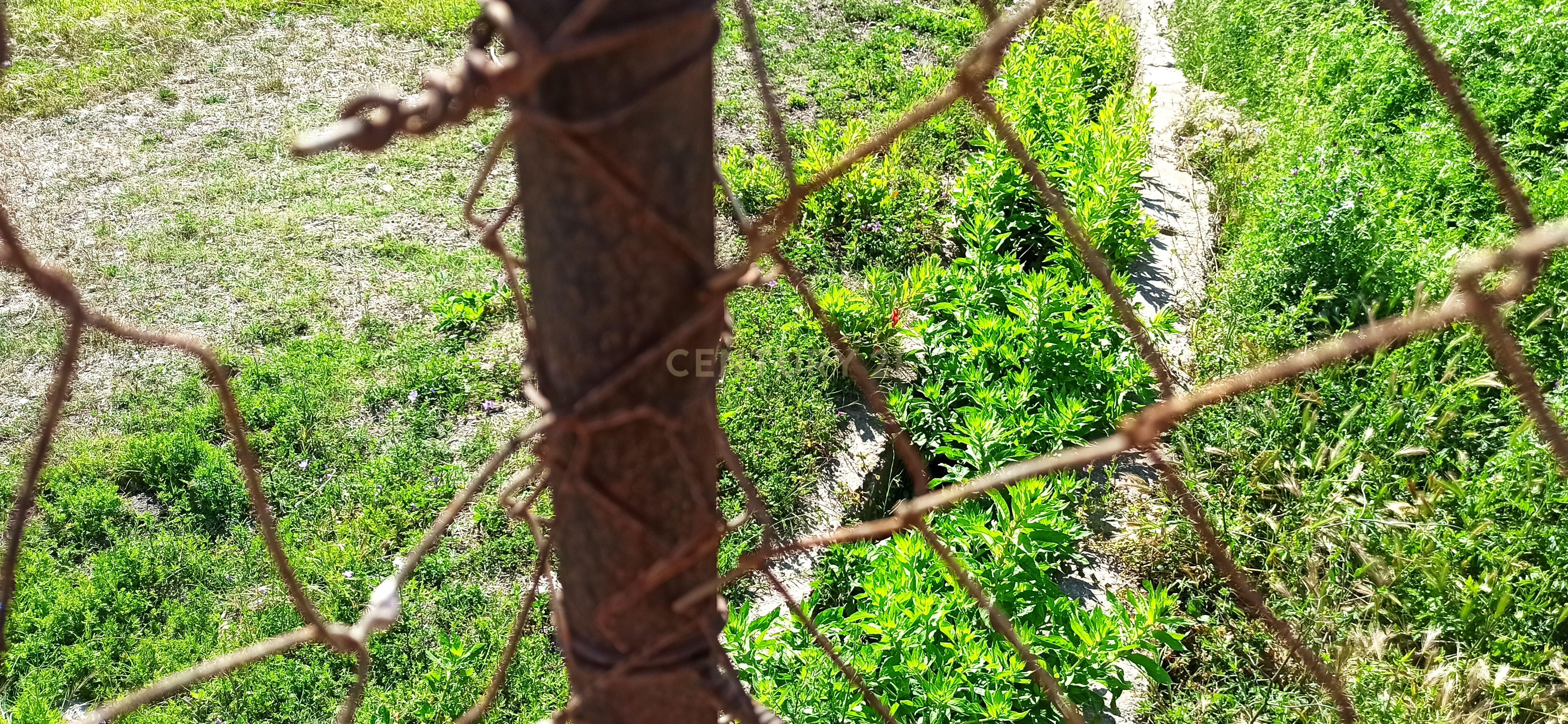 undefined - Image 7